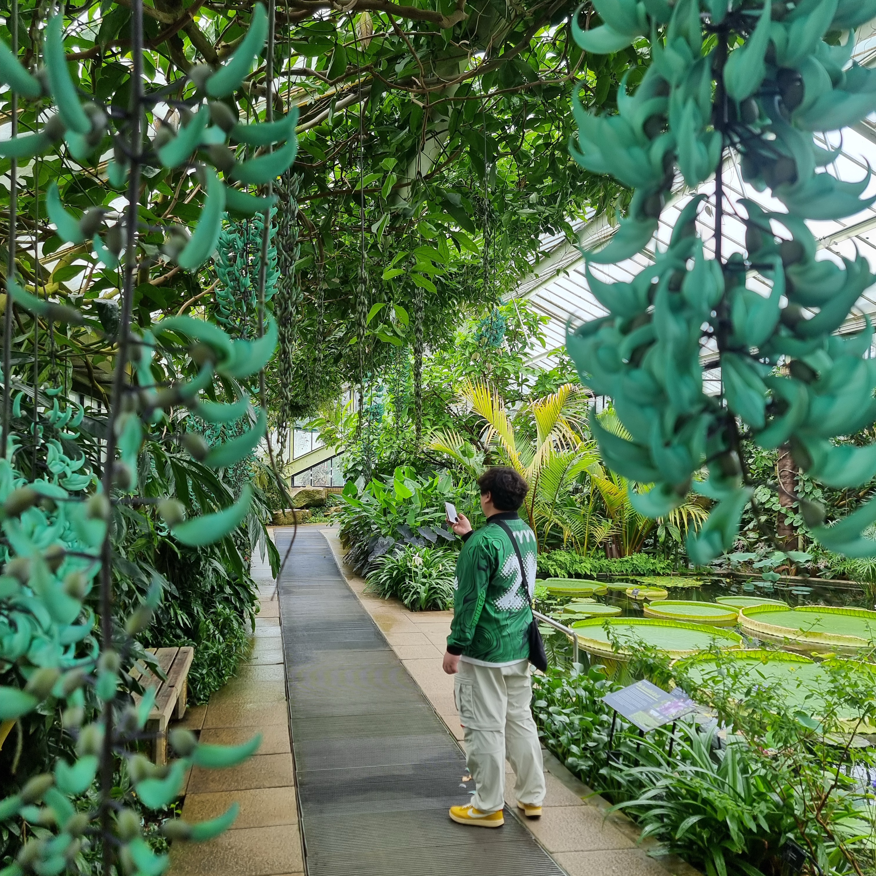 Nike x Off-White Allover Print Jersey Kelly Green - Asia, Nike ACG Smith Summit Cargo Pants Light Bone - Asia 착용 스타일 - 3