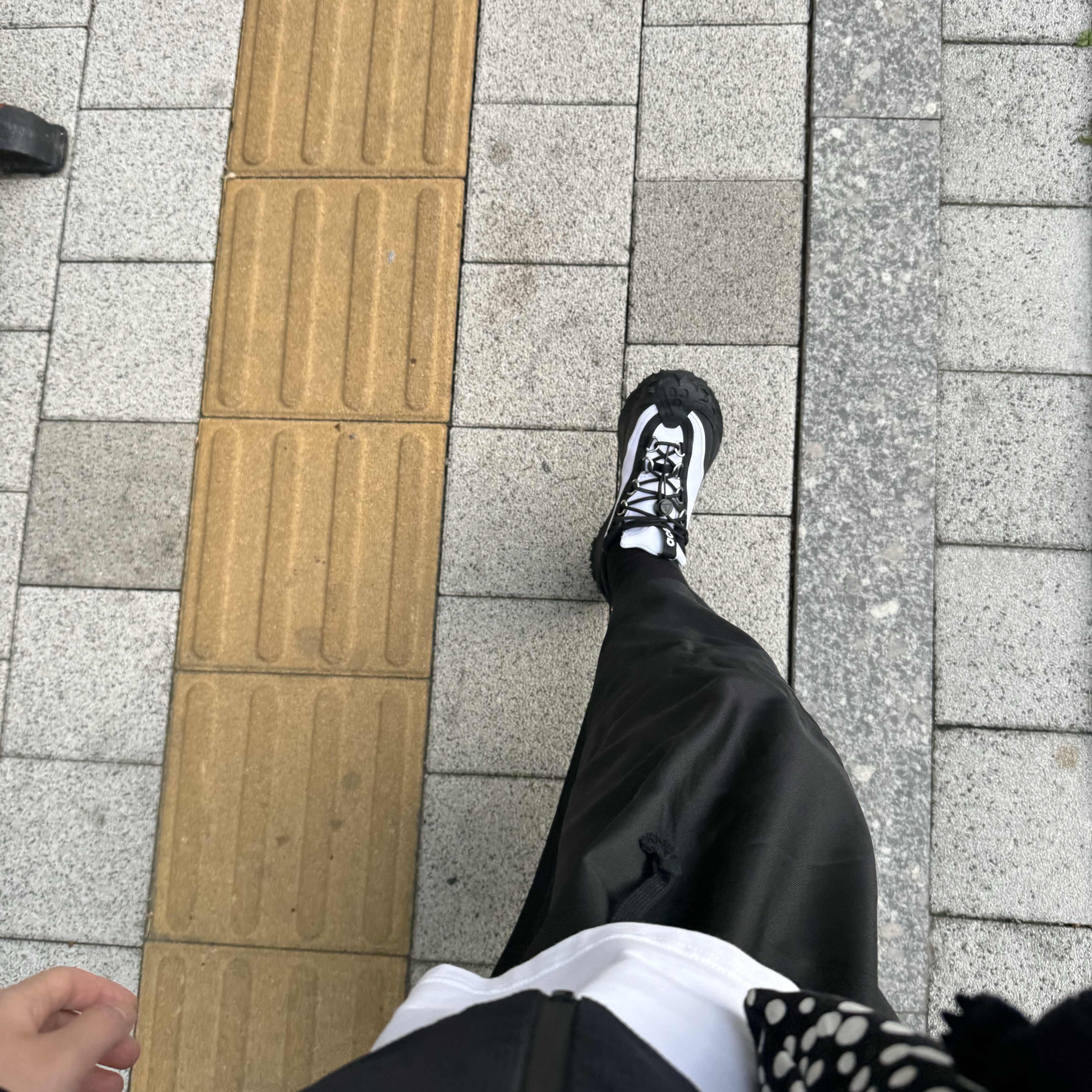 Nike x Comme des Garcons Homme Plus ACG Mountain Fly 2 Low Black White 착용 스타일 - 1