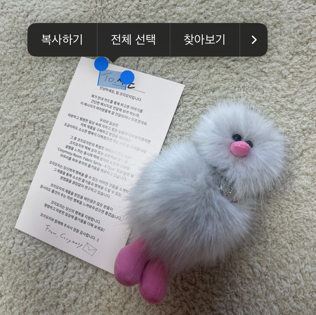 Cosymosy Mini Bird Bird Keyring Light Gray 착용 스타일