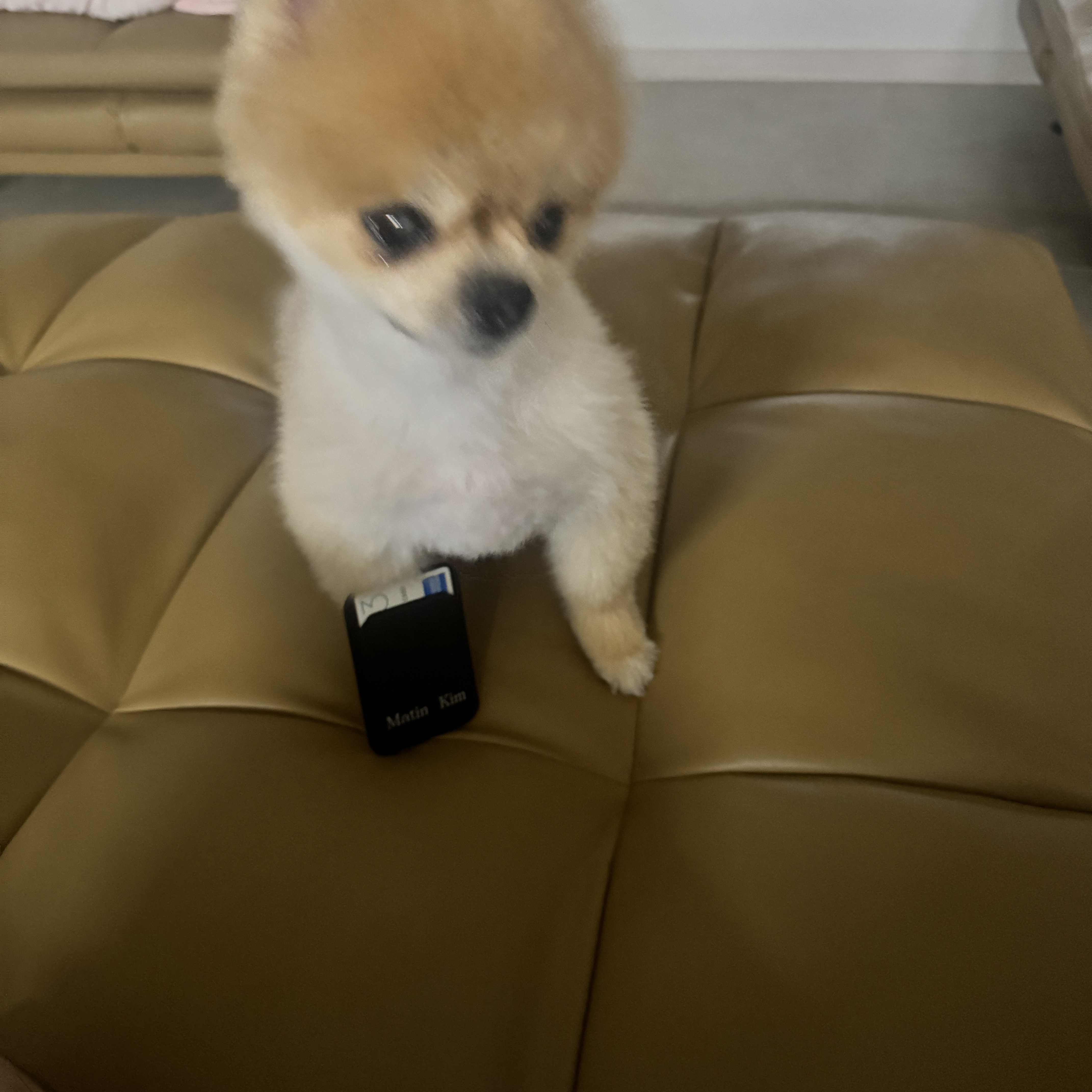 Casetify x Matin Kim Basic Logo MagSafe Wallet Black 착용 스타일 - 1