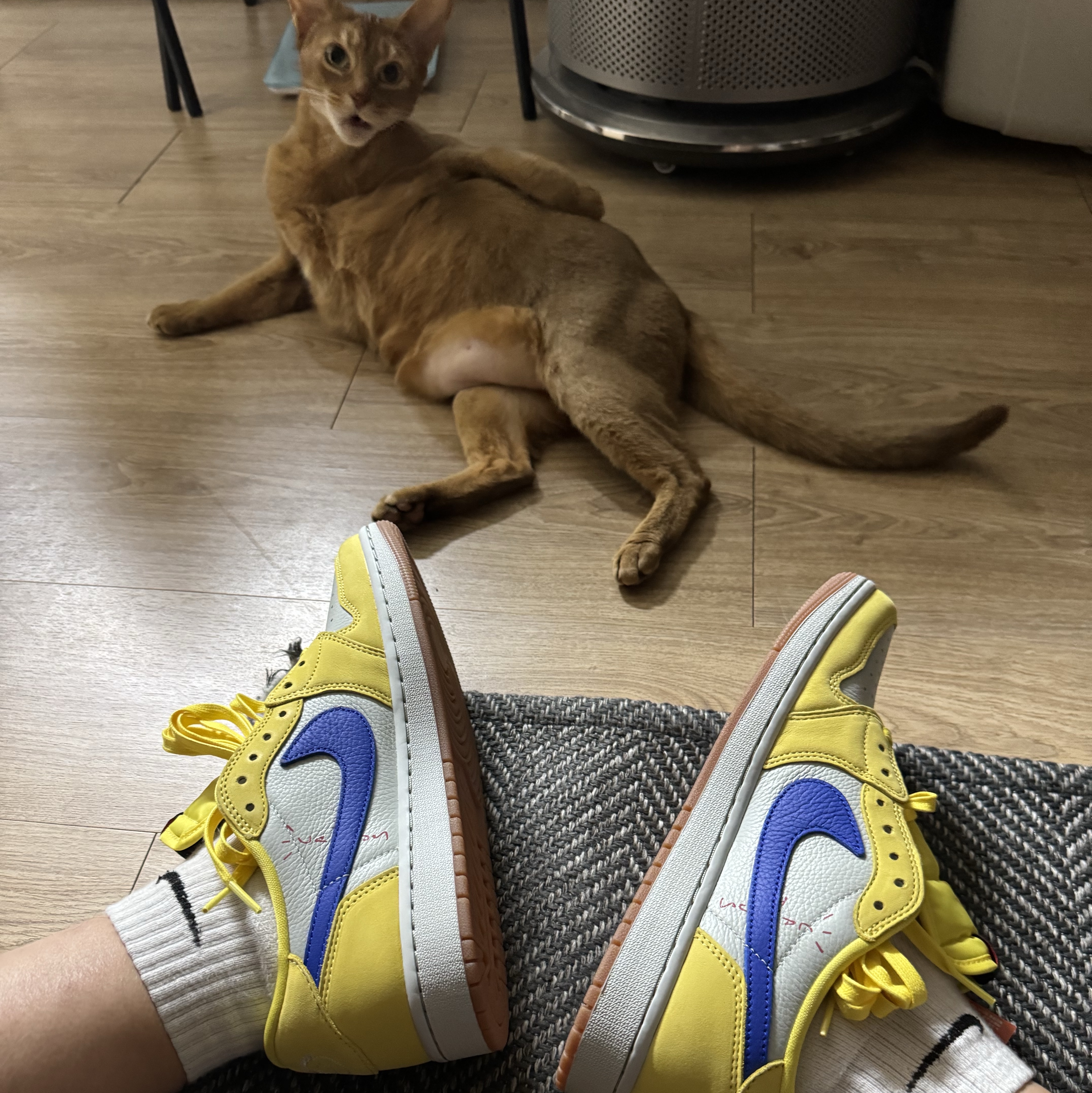 (W) Jordan 1 x Travis Scott Retro Low OG SP Canary 착용 스타일 - 2