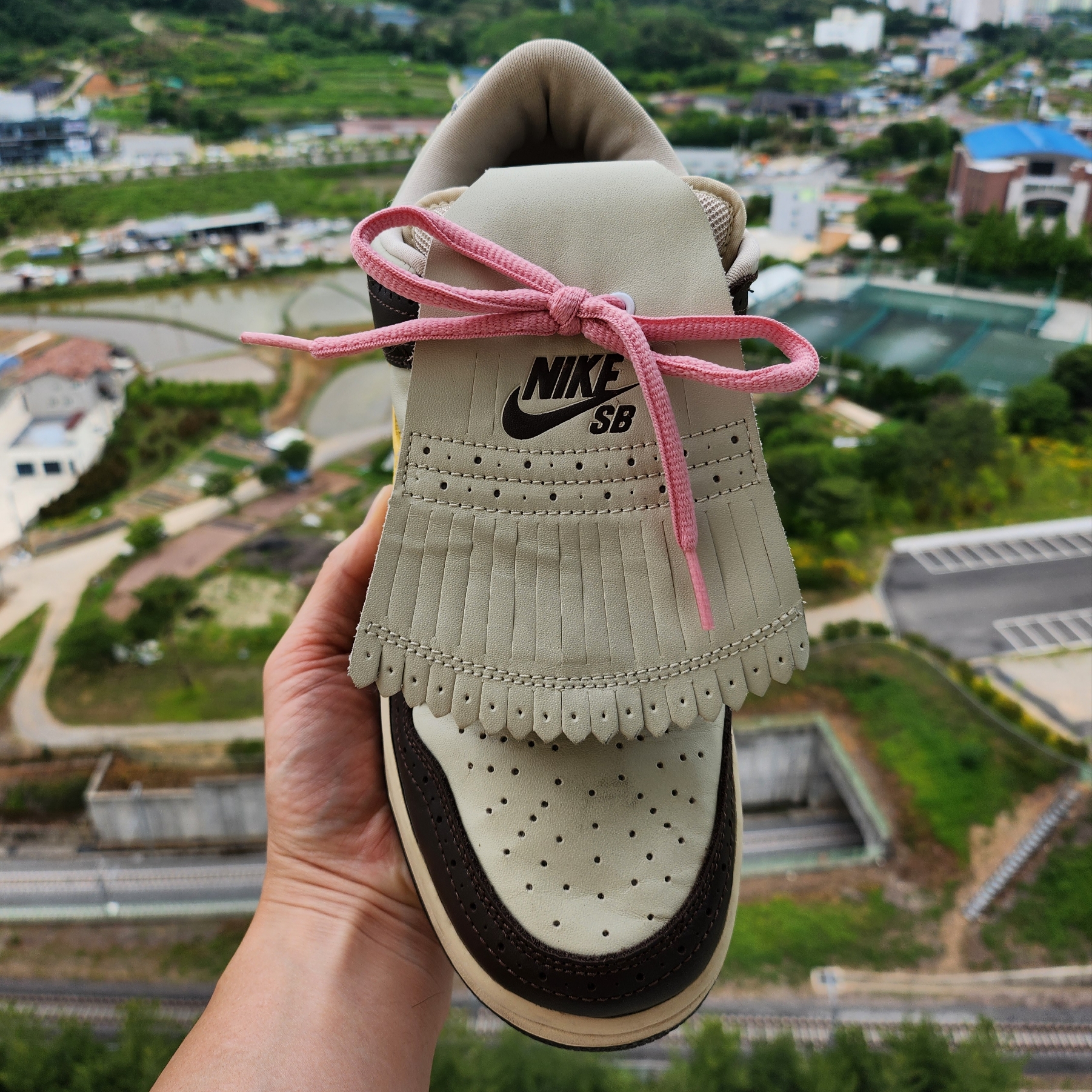 Nike x SBTG Dunk SB Low 착용 스타일 - 2