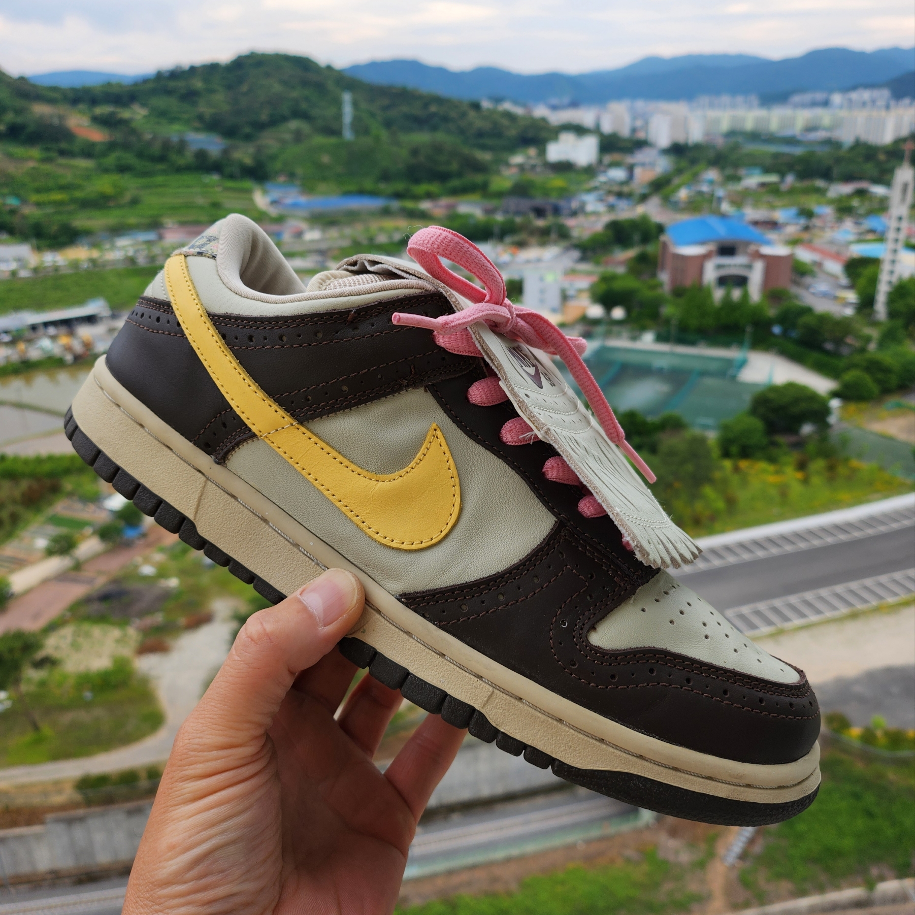 Nike x SBTG Dunk SB Low 착용 스타일 - 1