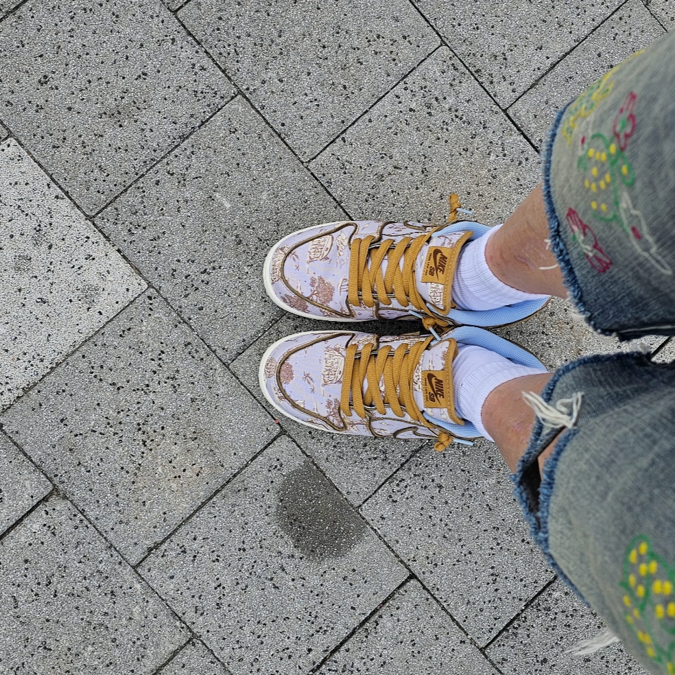 Nike SB Dunk Low Pro Premium Toile 착용 스타일