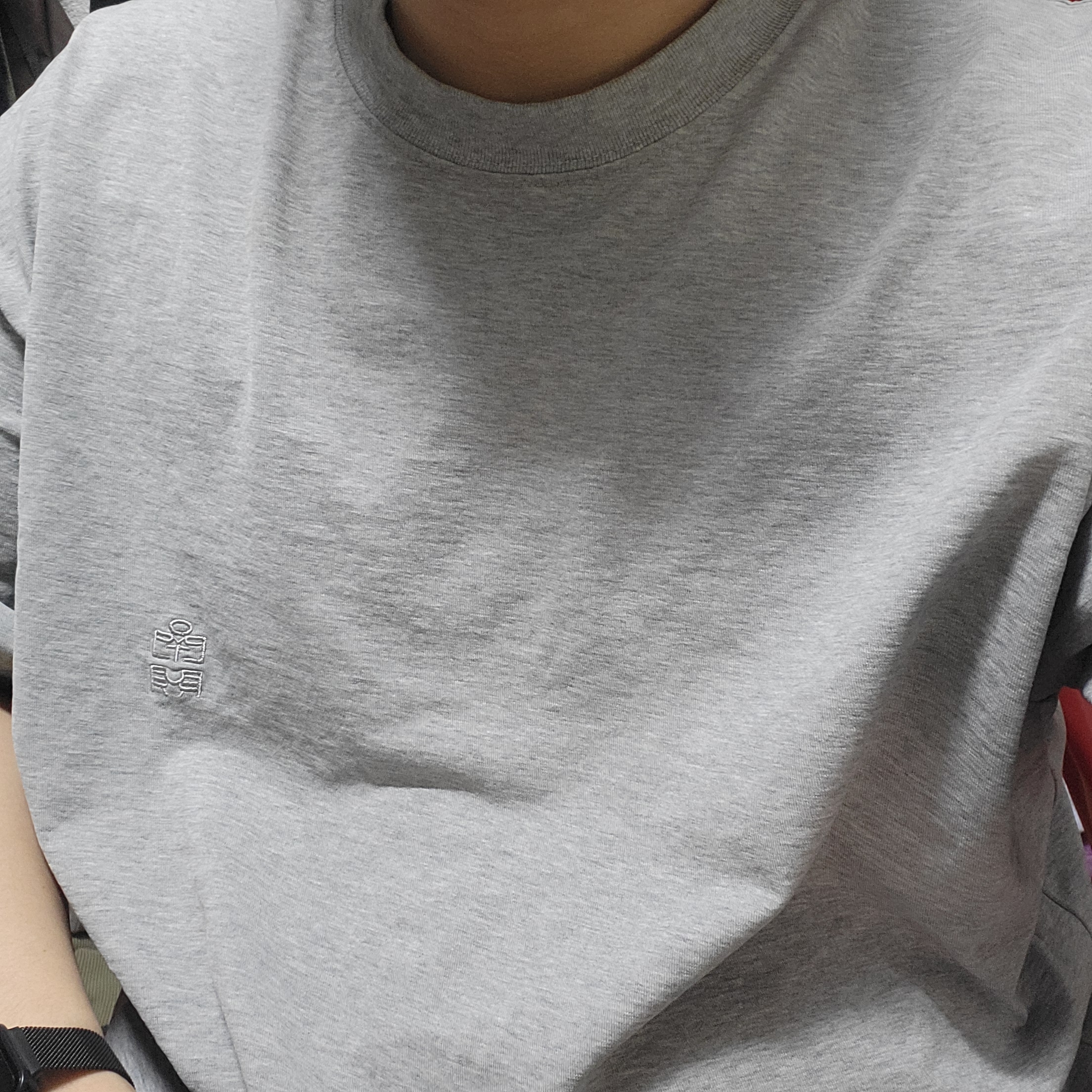 Polyteru Human Index Human Jumbo 1/2 T-Shirt Gray 착용 스타일