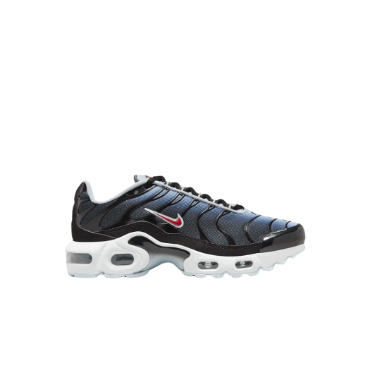 (GS) Nike Air Max Plus Black Blue Tint