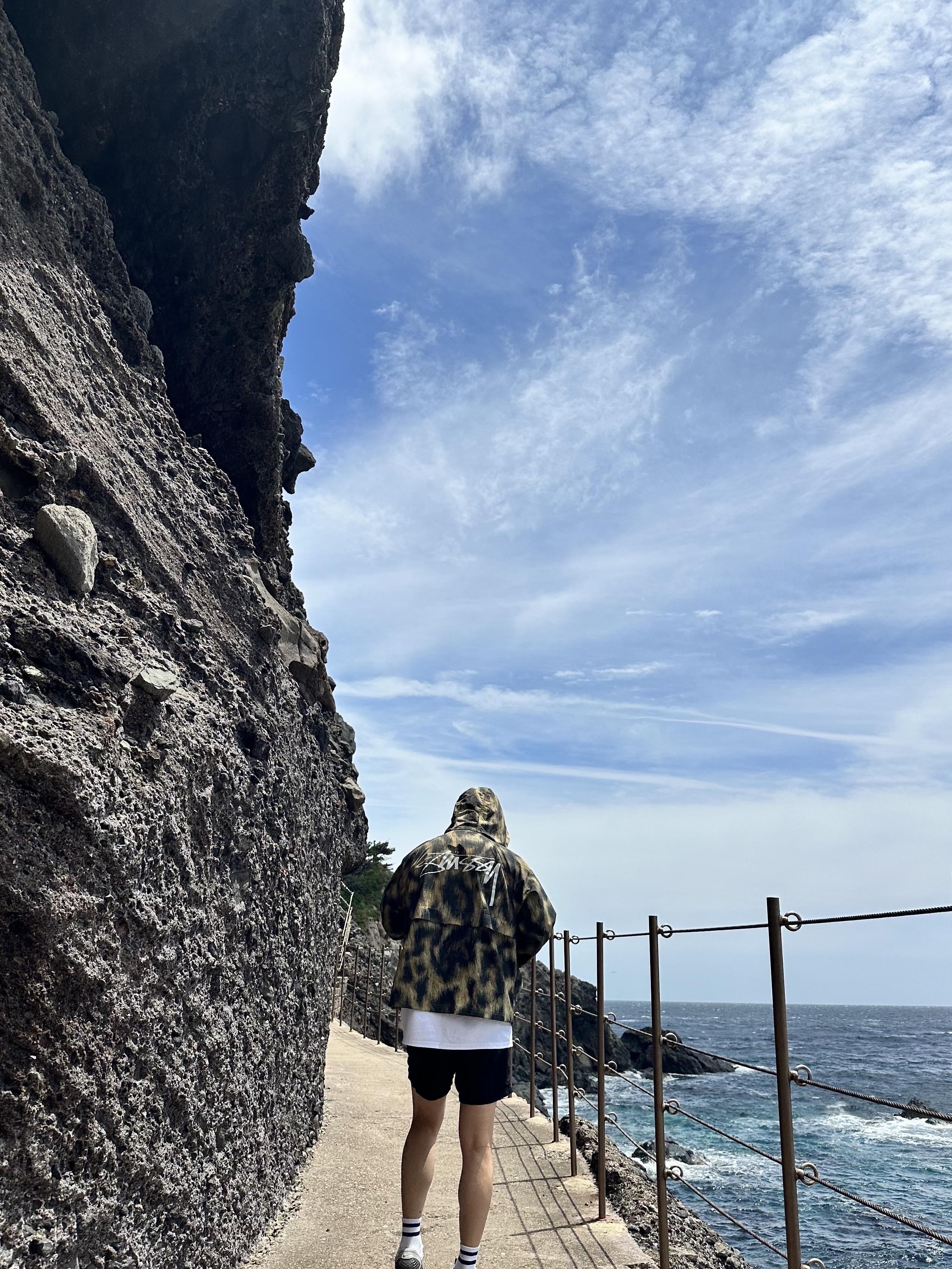 Stussy Fur Print Beach Shell Jacket Brown, Nike Zoom Vomero 5 PRM Light Iron Ore and Flat Fewter 착용 스타일
