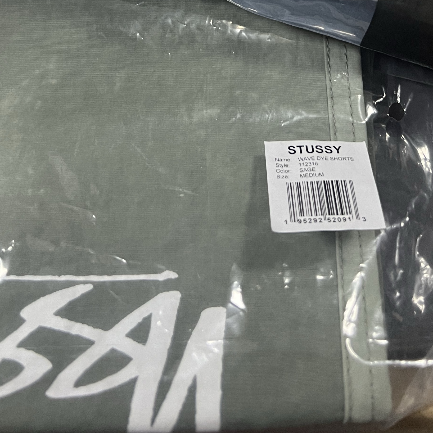 Stussy Wave Dye Nylon Shorts Sage 착용 스타일