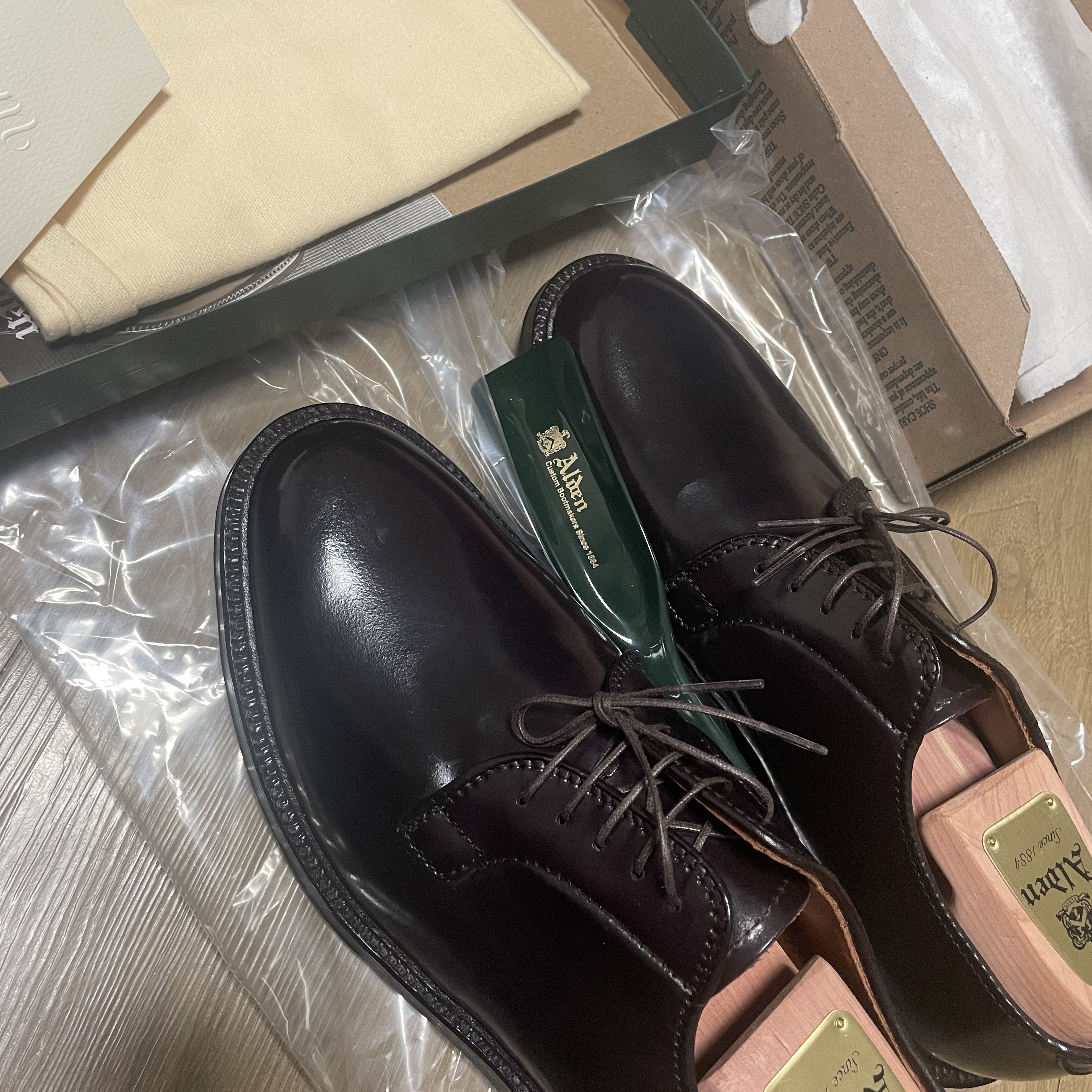 Alden 990 Cordovan Plain Toe Blucher Oxford Burgundy - D 착용 스타일