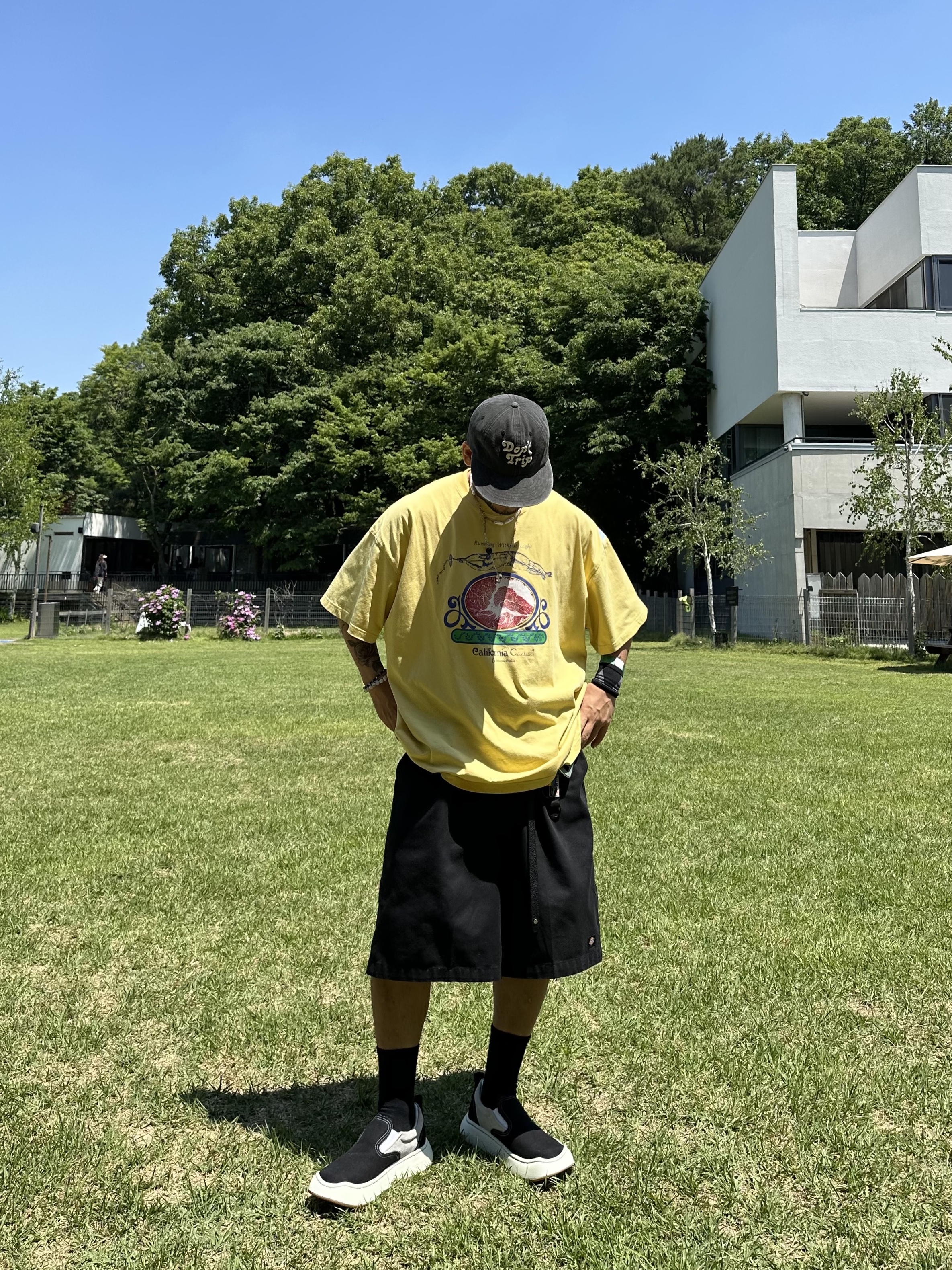 Dickies Loose Fit 13 Inch Flat Front Work Shorts Black, Free & Easy Don't Trip Washed Hat Black 착용 스타일 - 2