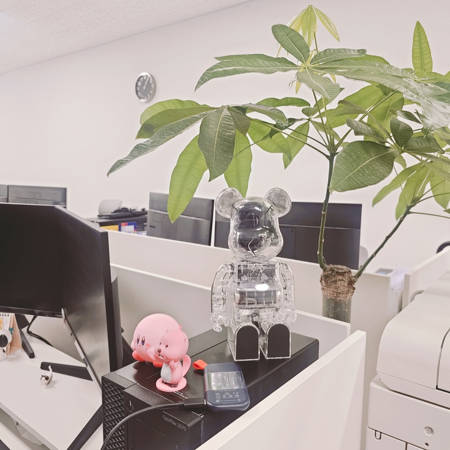 강영기님의 스타일 - 4