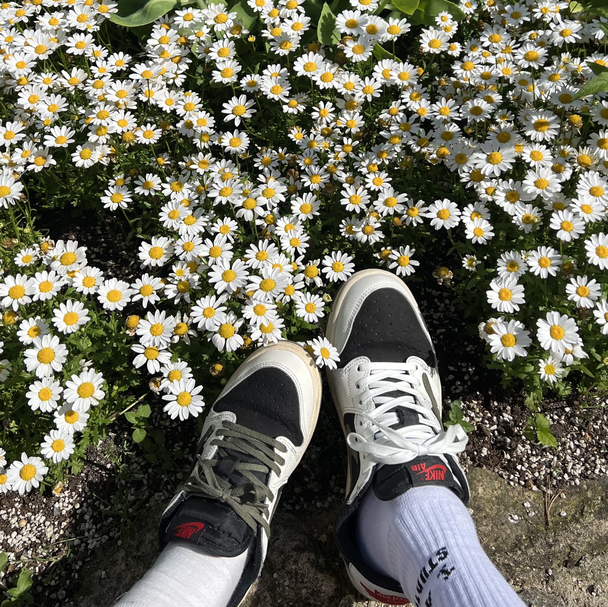 (W) Jordan 1 x Travis Scott Retro Low OG SP Medium Olive, (PS) Jordan 1 x Travis Scott Retro Low OG SP Medium Olive 착용 스타일