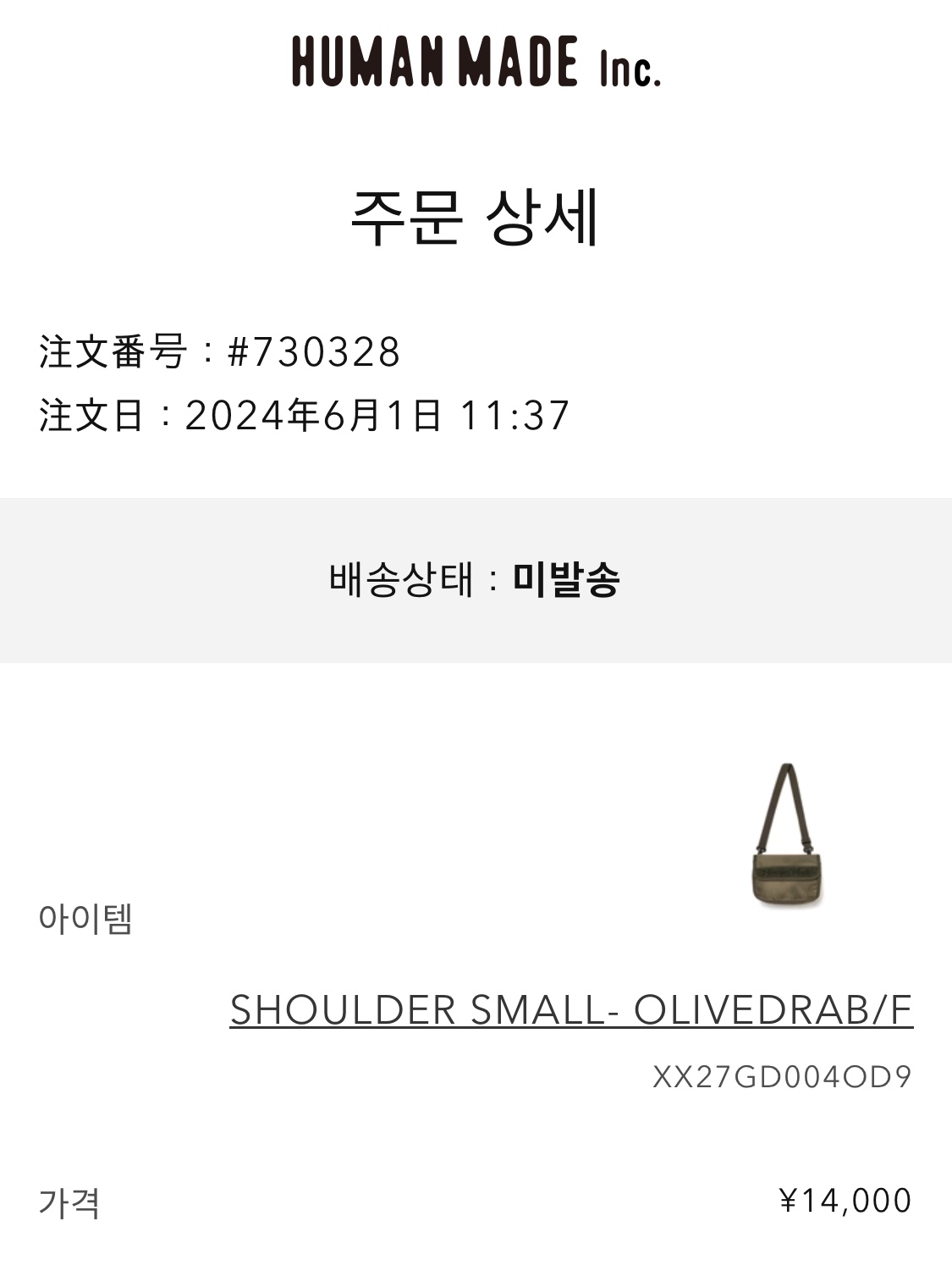 Human Made Prototype Shoulder Small Olive Drab 착용 스타일