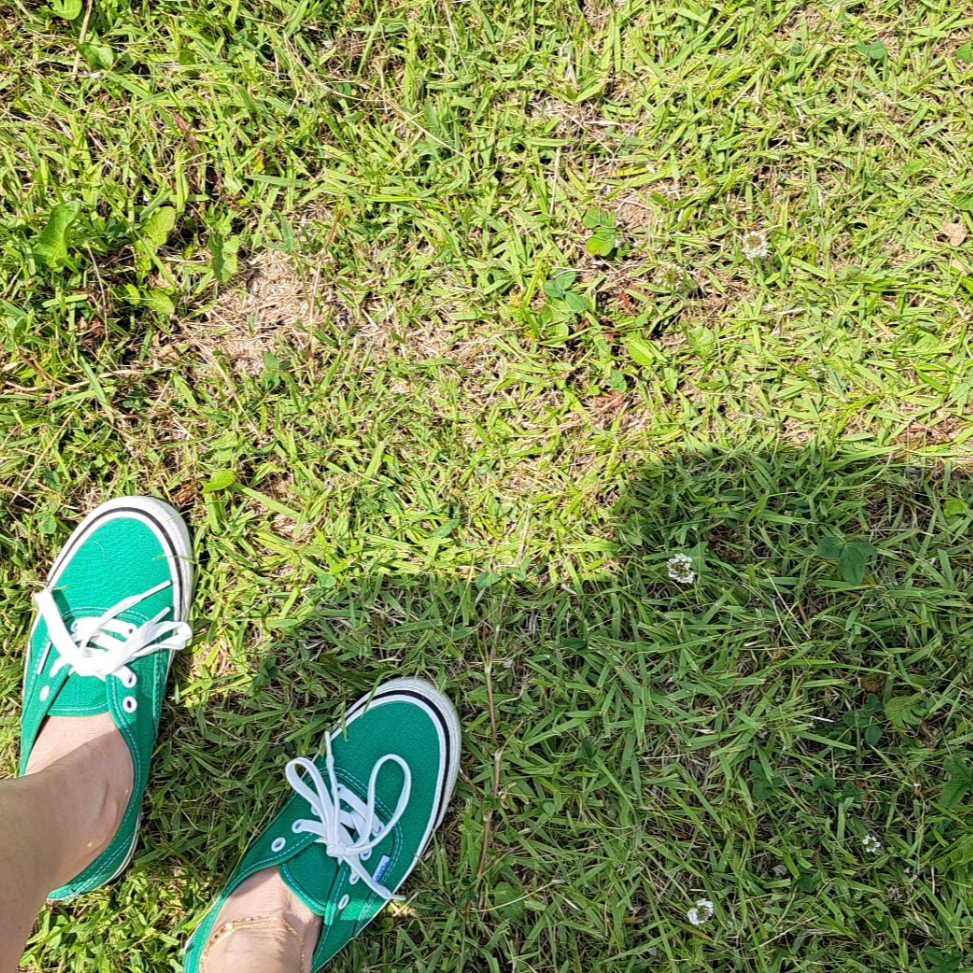 Vans Authentic 44 DX Anaheim Factory Emerald Green 착용 스타일