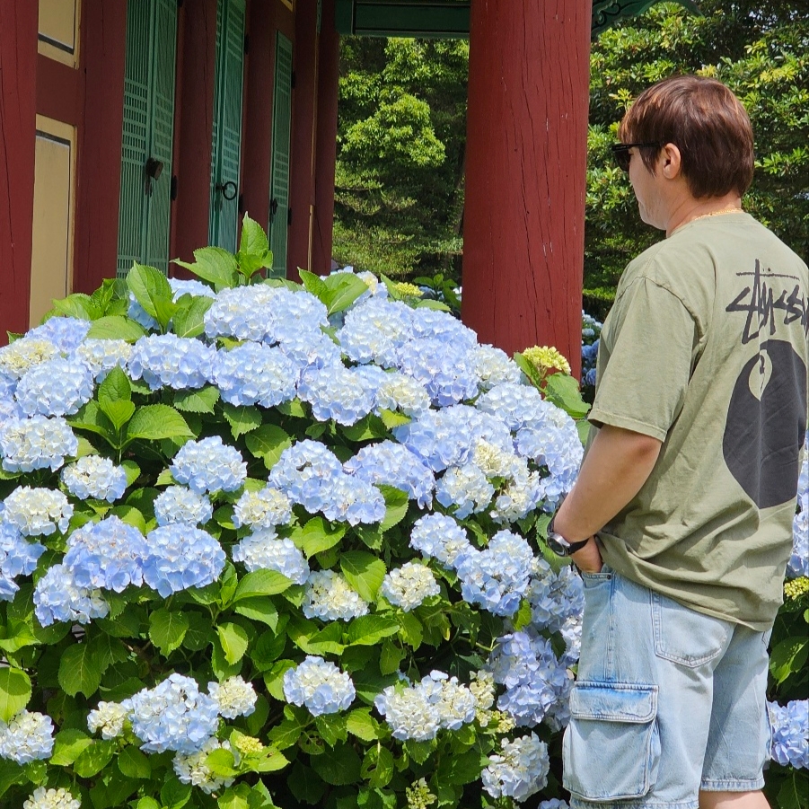 Stussy 8 Ball Pigment Dyed T-Shirt Olive 착용 스타일