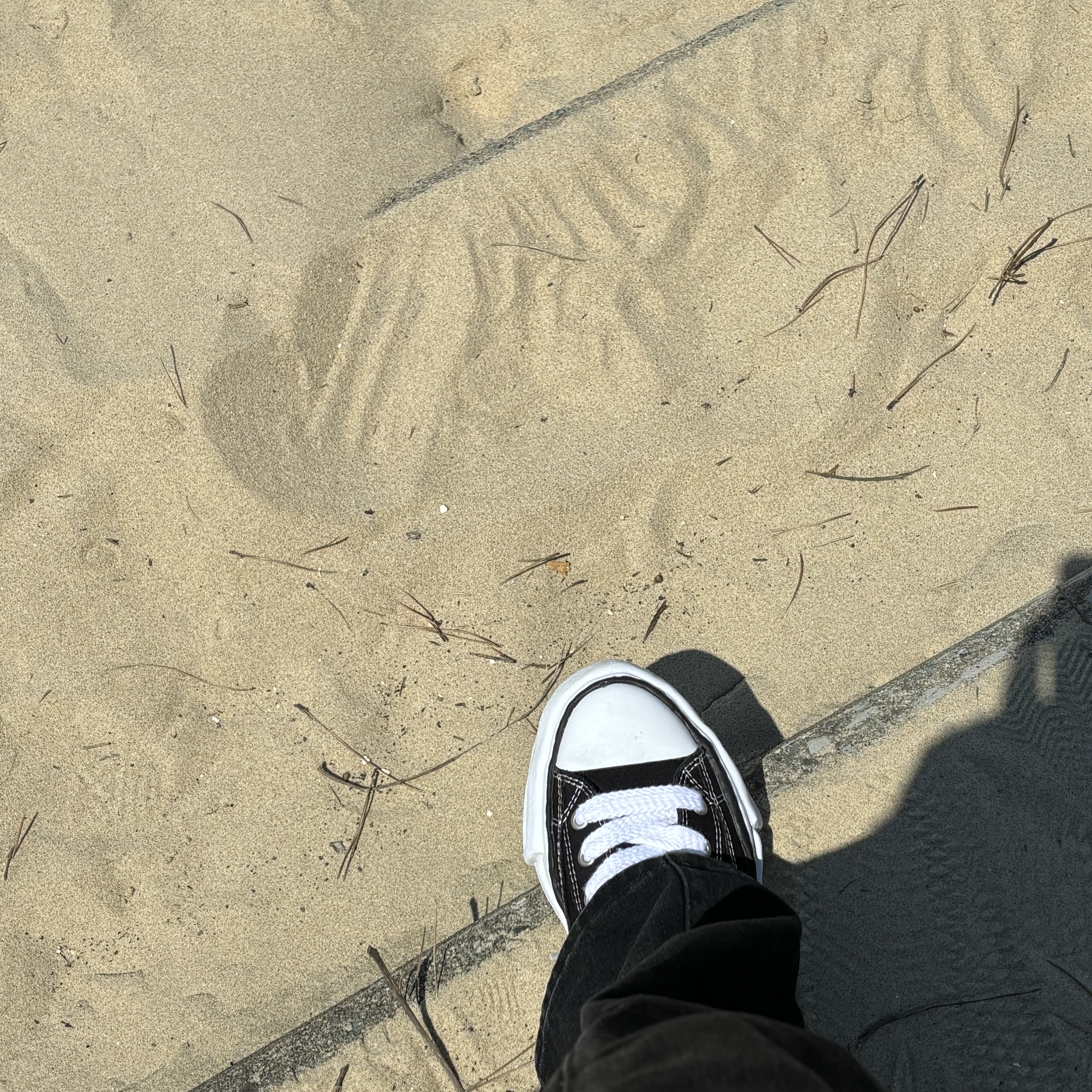 Maison Mihara Yasuhiro Peterson OG Sole Canvas Low Sneakers Black, Stussy World Tour T-Shirt Black 2023 착용 스타일 - 2