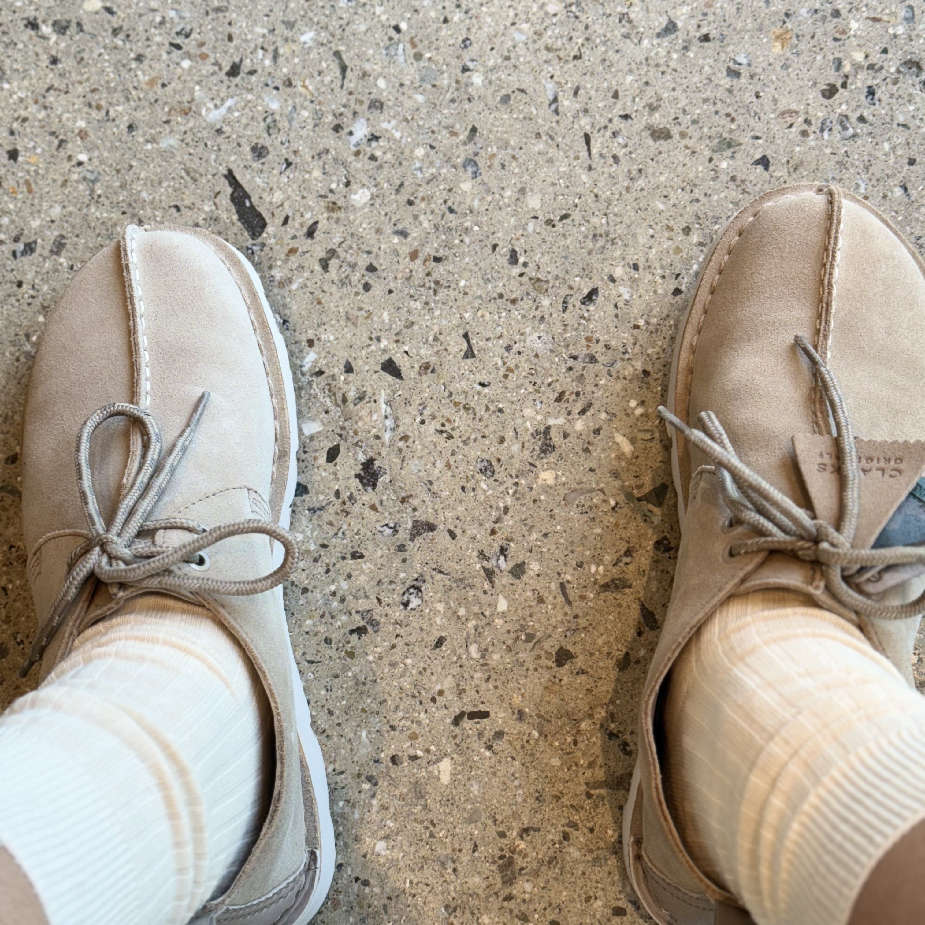 Clarks Desert Trek Gore-Tex Sand Suede 착용 스타일 - 1