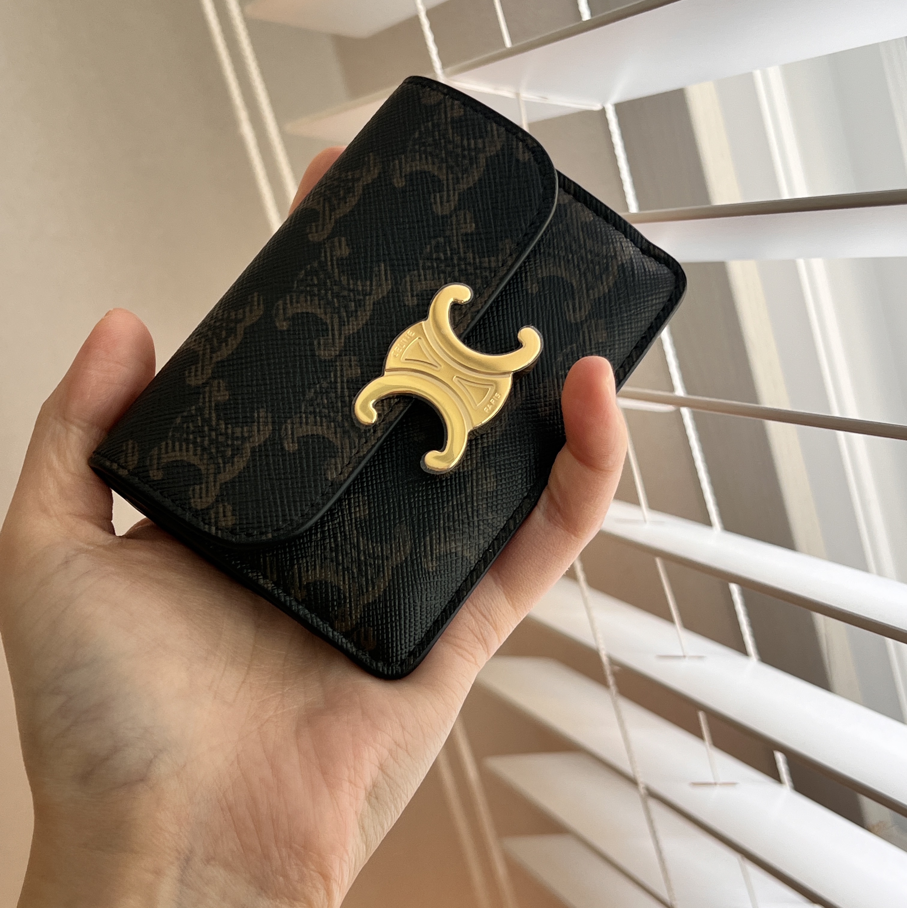 Celine Card Holder with Flap in Triomphe Canvas Tan 착용 스타일