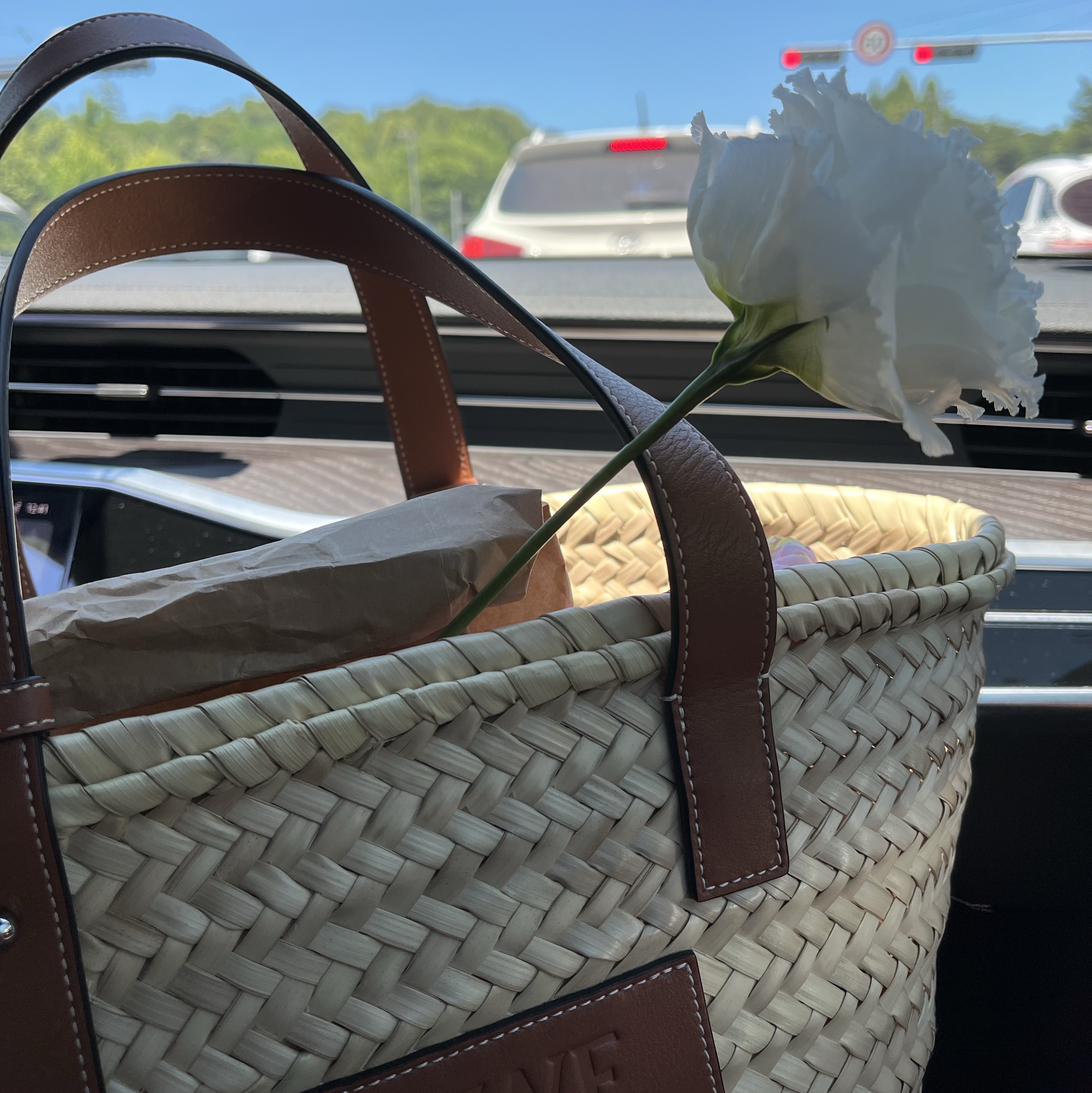 Loewe Basket Bag in Palm Leaf and Calfskin Natural Tan 착용 스타일 - 3