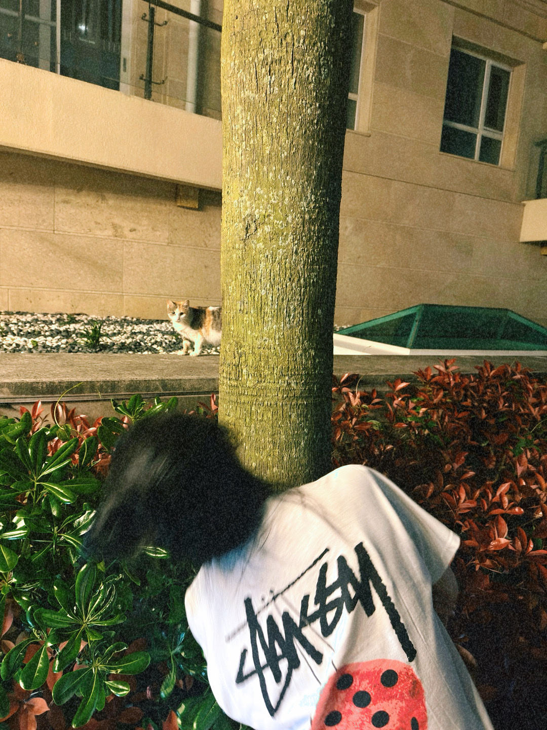 Stussy Fuzzy Dice T-Shirt White 착용 스타일 - 1