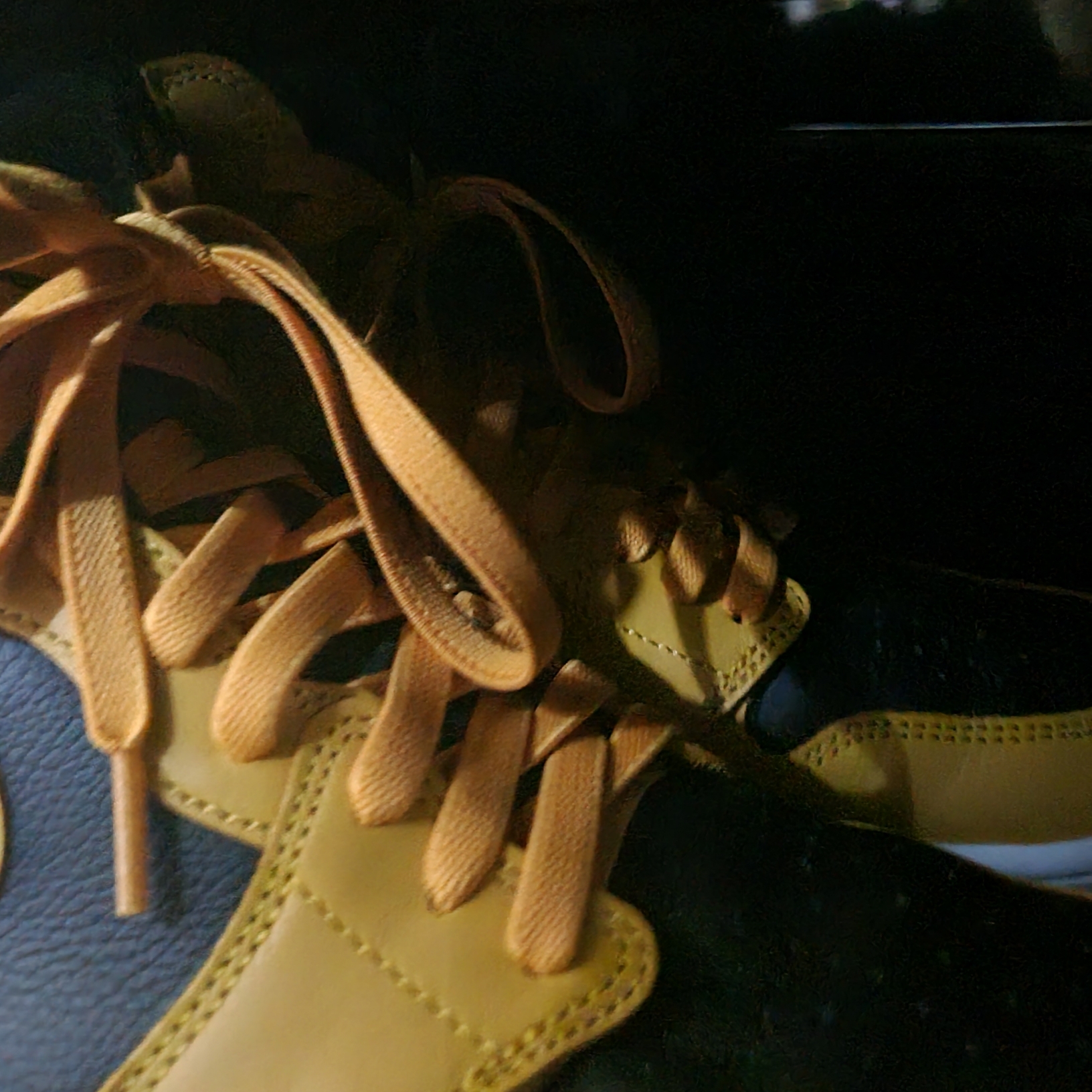 Jordan 1 Retro High OG Pollen 착용 스타일