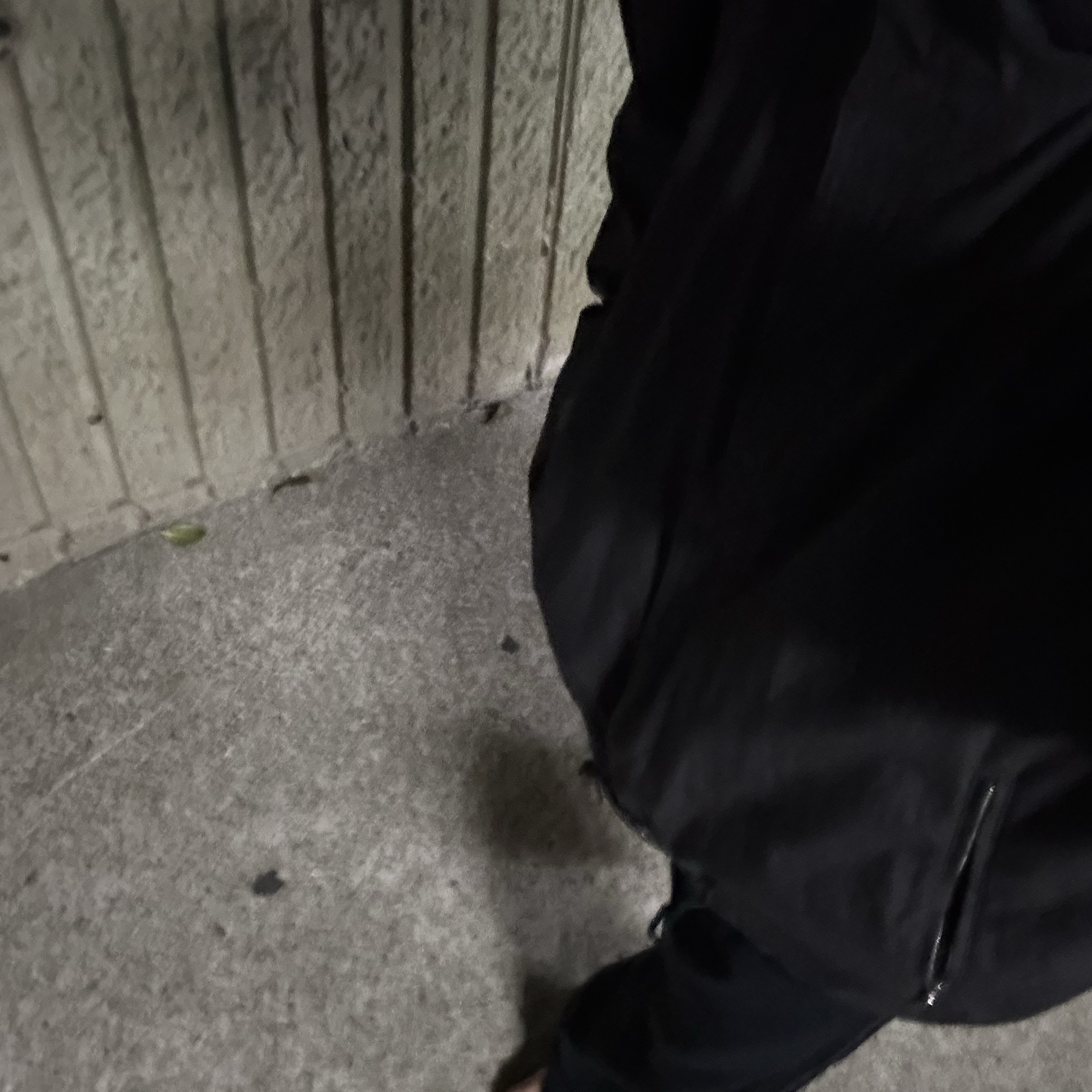 Polyteru 1011 Fatigue Sweatpants 1.2v Dusty Khaki - 24SS 착용 스타일