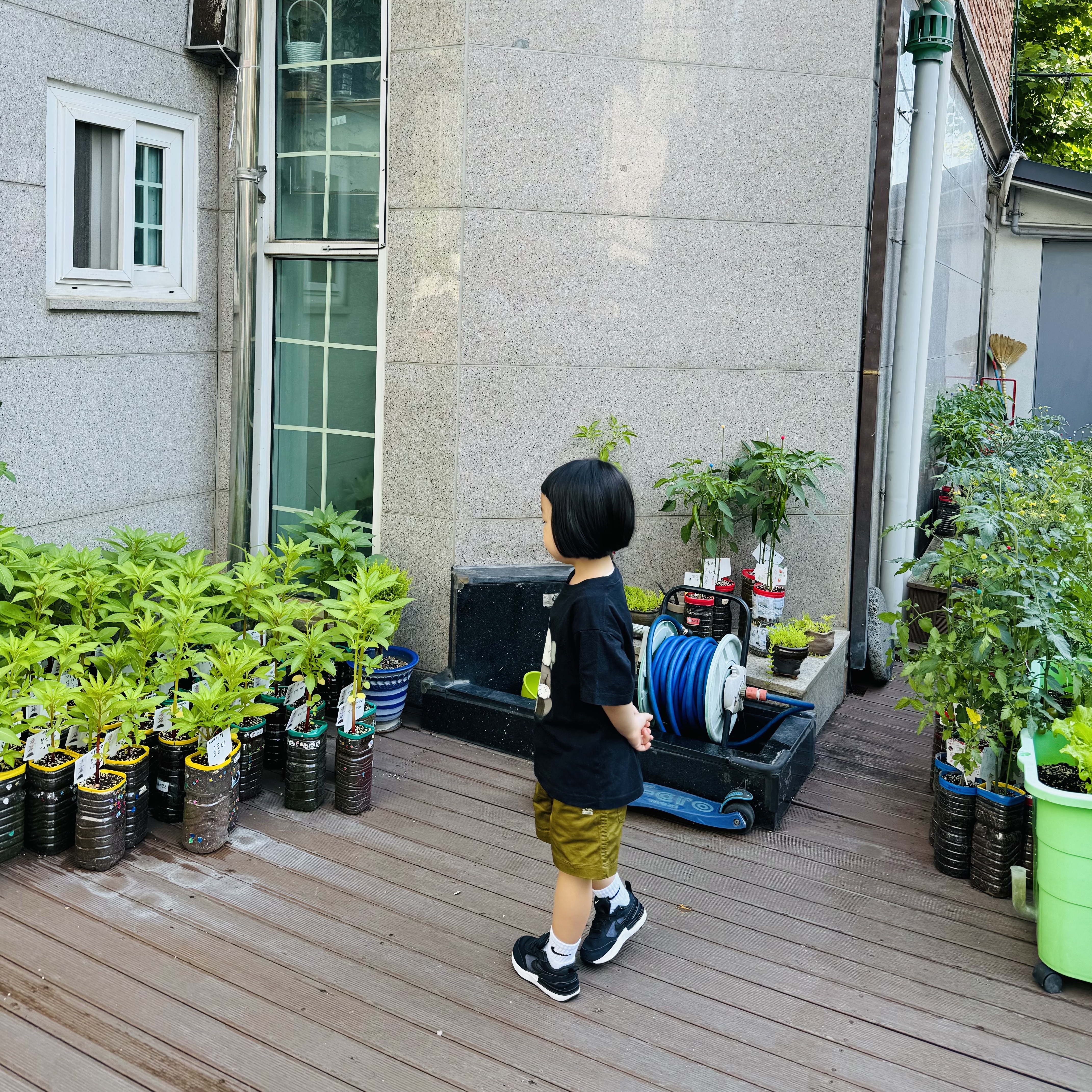 (Kids) Uniqlo UT x Kaws Short Sleeve Graphic T-Shirt Black, (TD) Nike Waffle One Black 착용 스타일 - 5