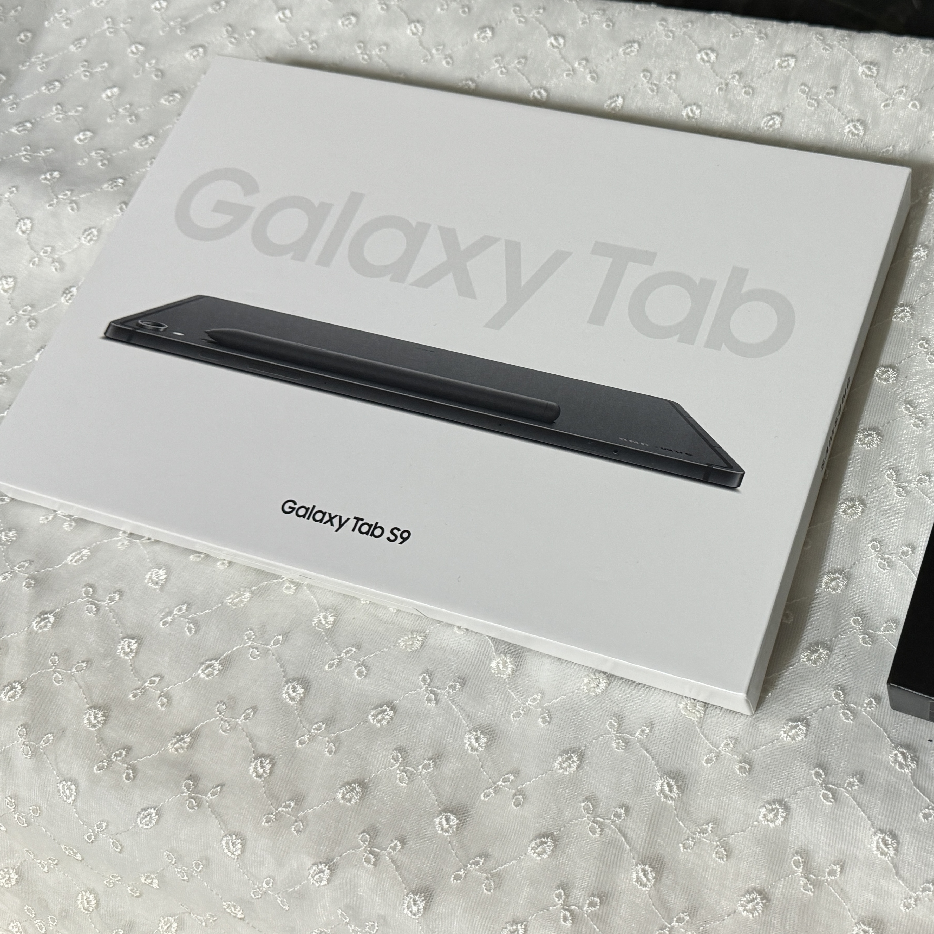 Samsung Galaxy Tab S9 Wifi 128GB Graphite (Korean Ver.) 착용 스타일