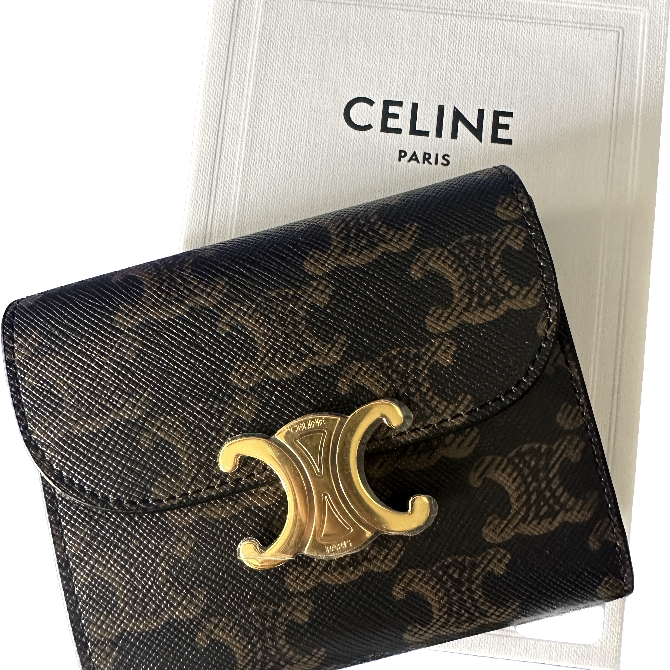 Celine Small Wallet Triomphe in Triomphe Canvas Tan 착용 스타일