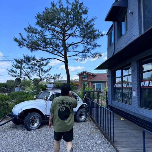스타일 카드