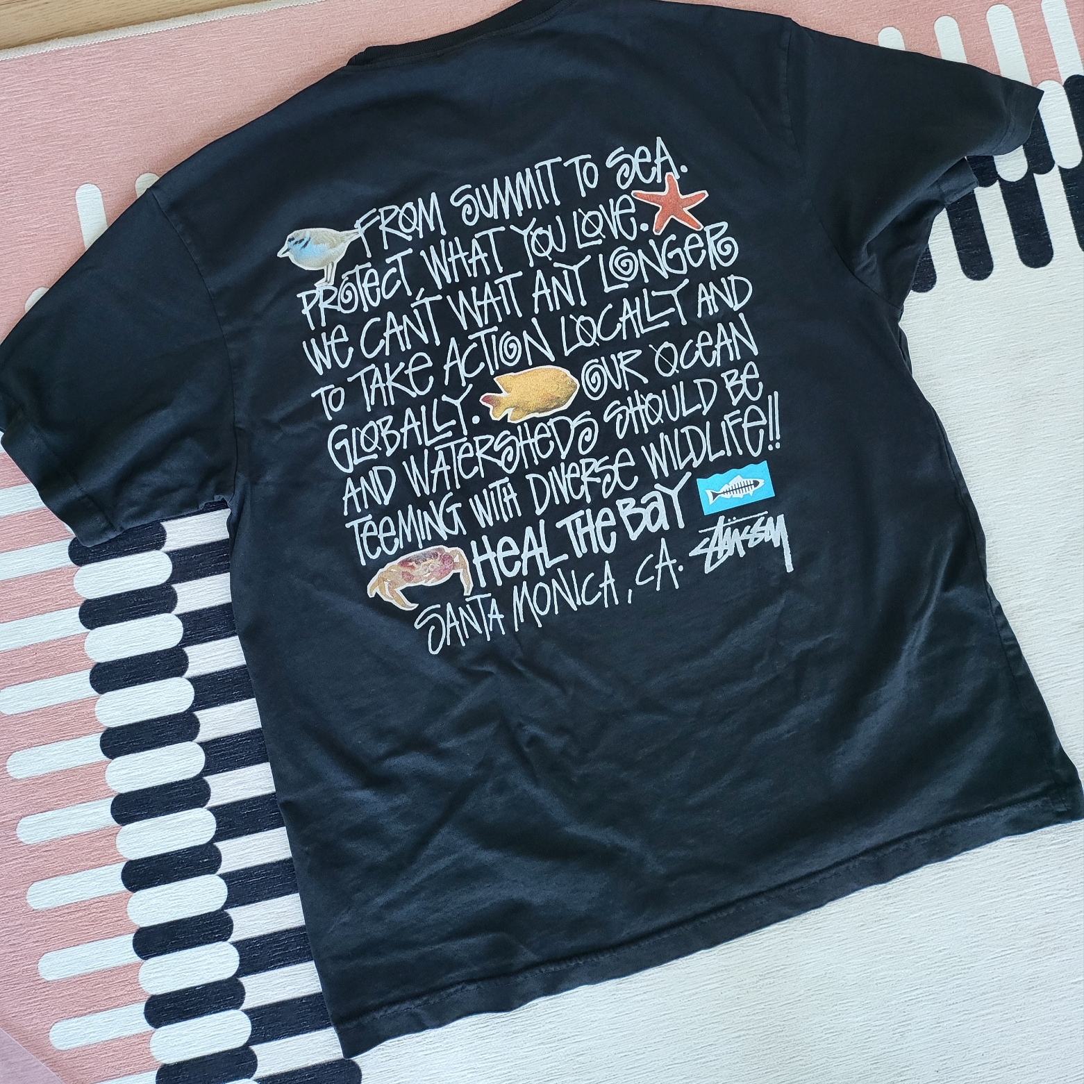 Stussy x Heal The Bay Summit To Sea Pigment Dyed T-Shirt Black 착용 스타일