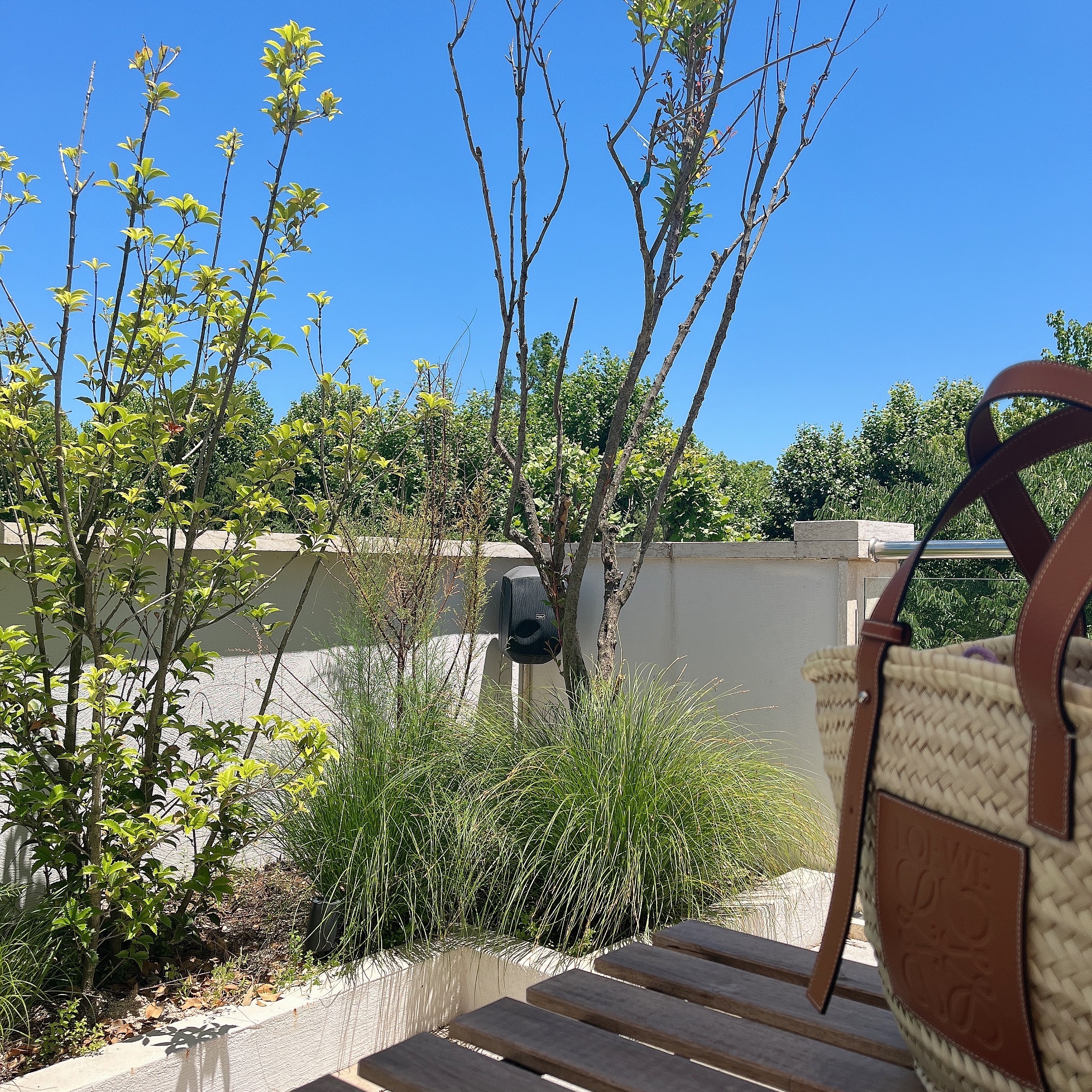 Loewe Basket Bag in Palm Leaf and Calfskin Natural Tan 착용 스타일 - 2