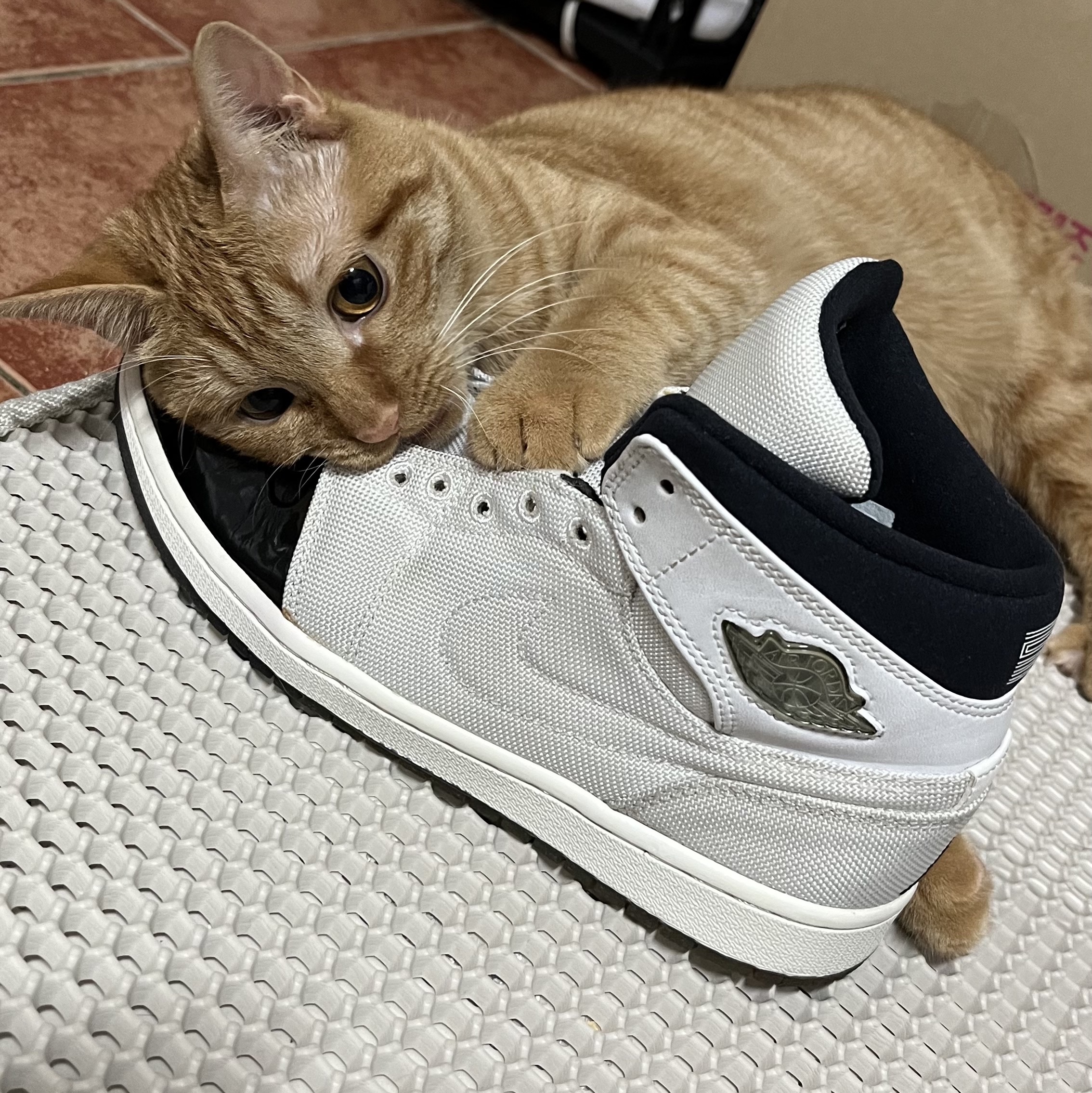Jordan 1 Retro '95 TXT Concord 착용 스타일
