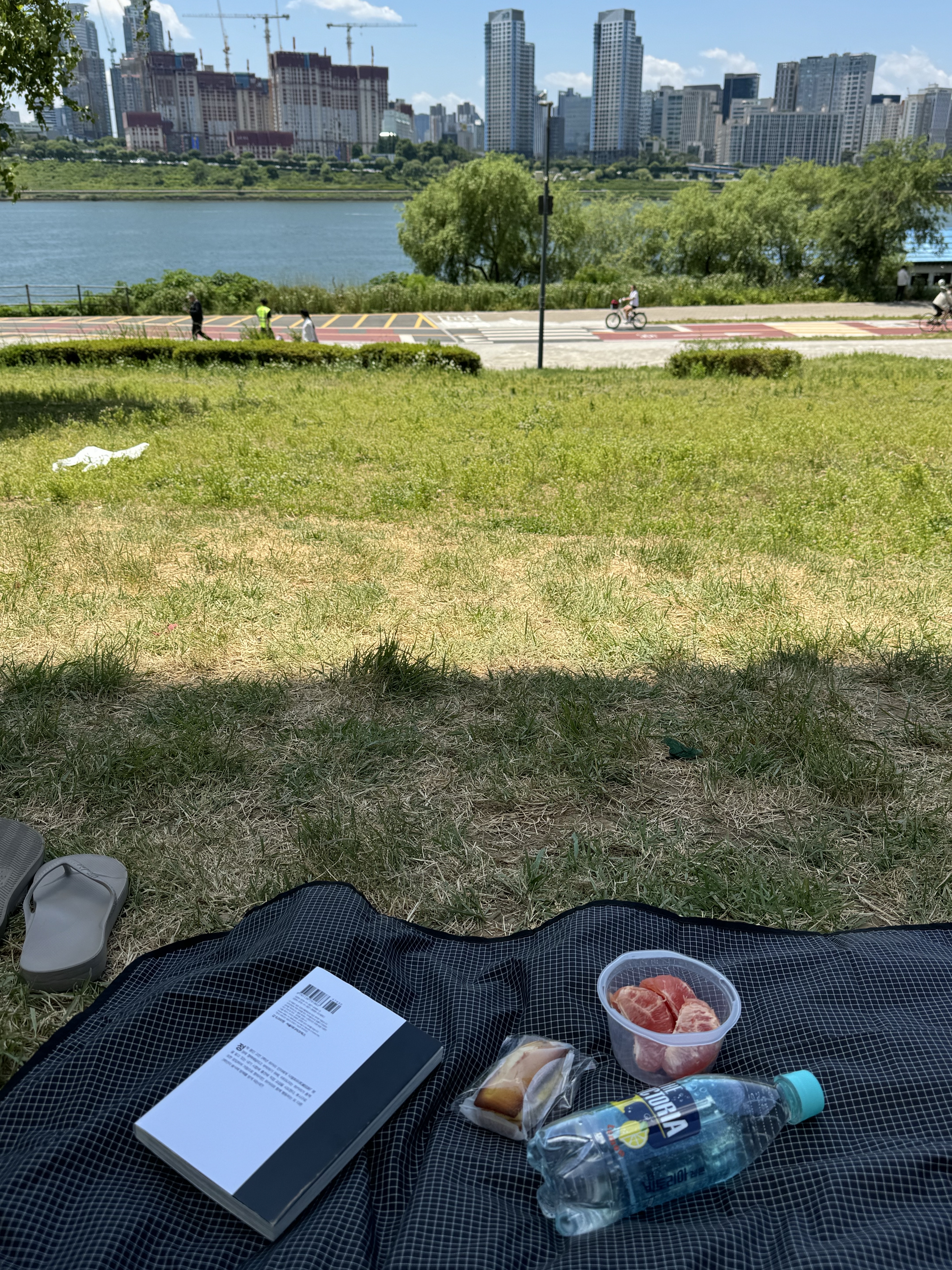 광진구팅커벨🧚님의 스타일 - 6