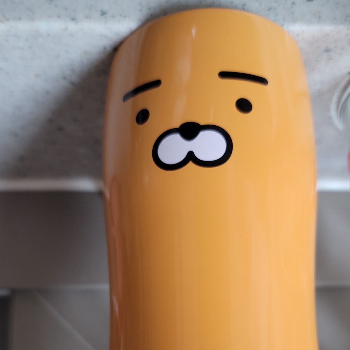 Starbucks x Kakao Friends SS My Buddy Ryan Concord Tumbler 591ml 착용 스타일