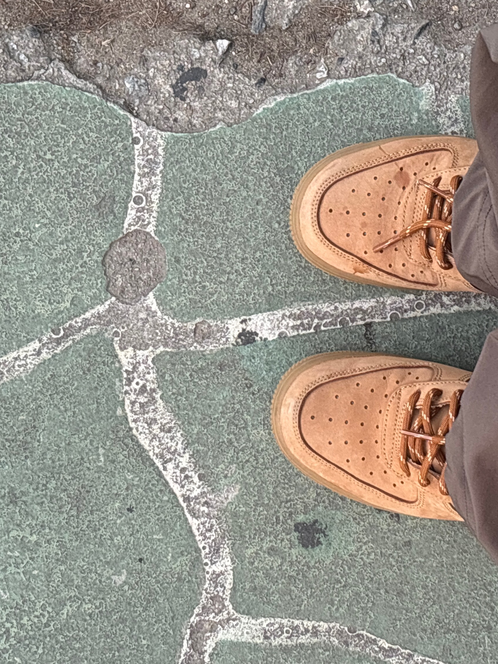 (W) Nike Air Force 1 '07 WB Flax Wheat 착용 스타일 - 2