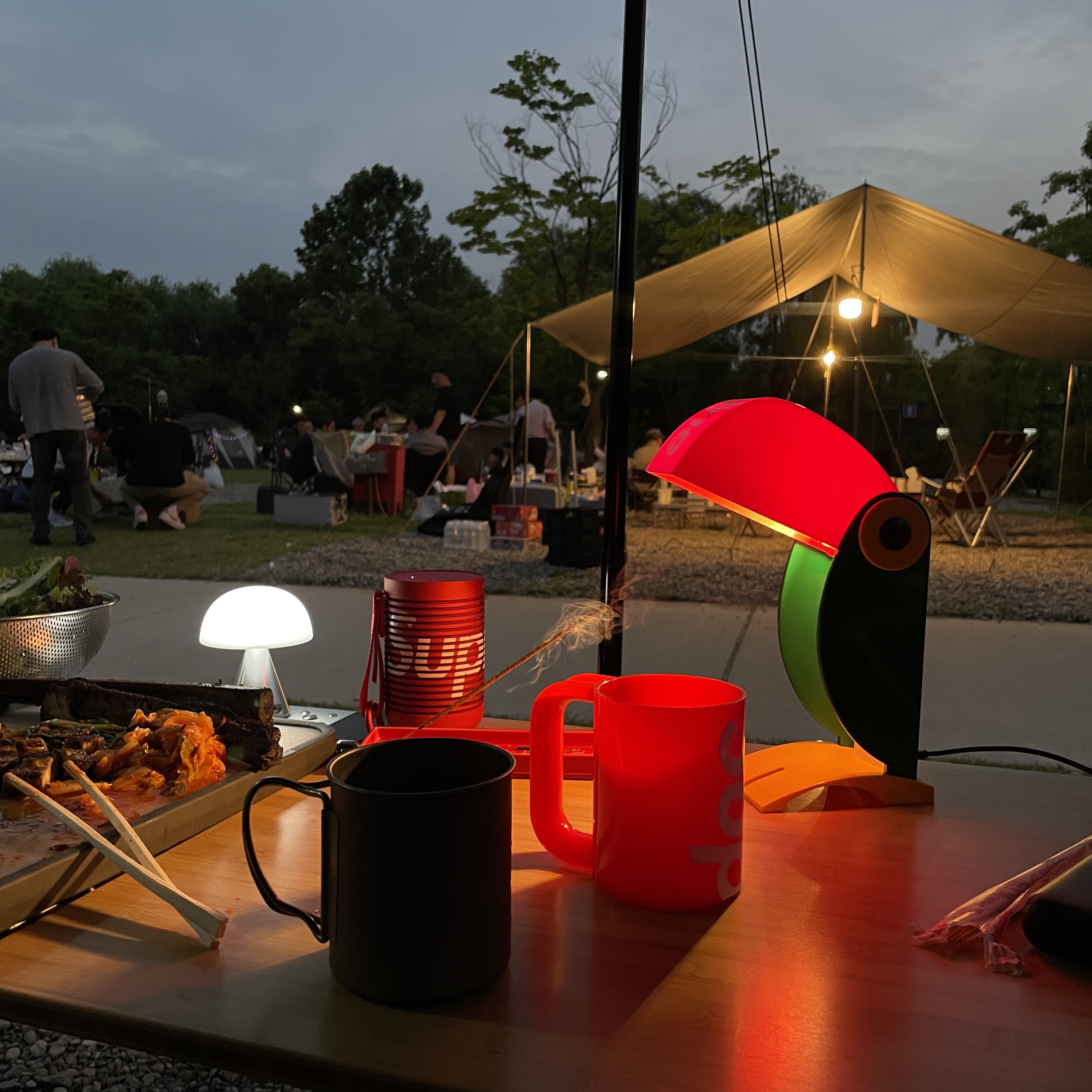 Supreme x Linea Zero Toucan Lamp Multicolor - 24SS 착용 스타일