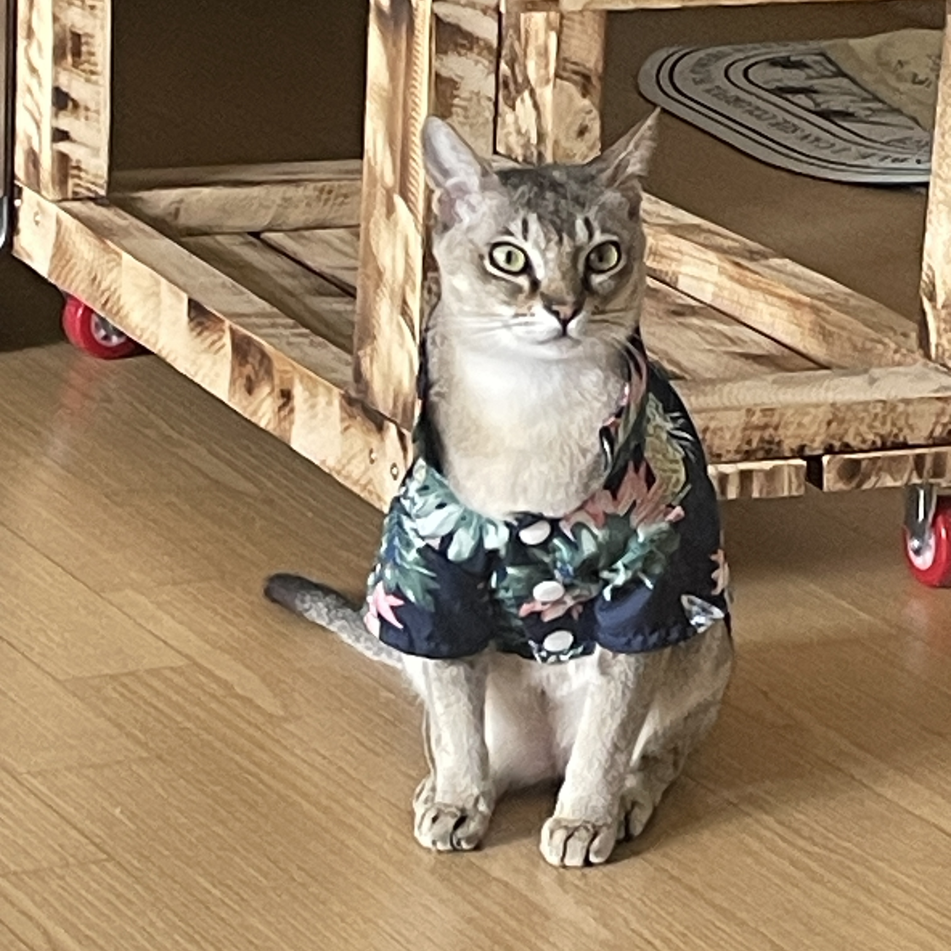 재민님의 스타일