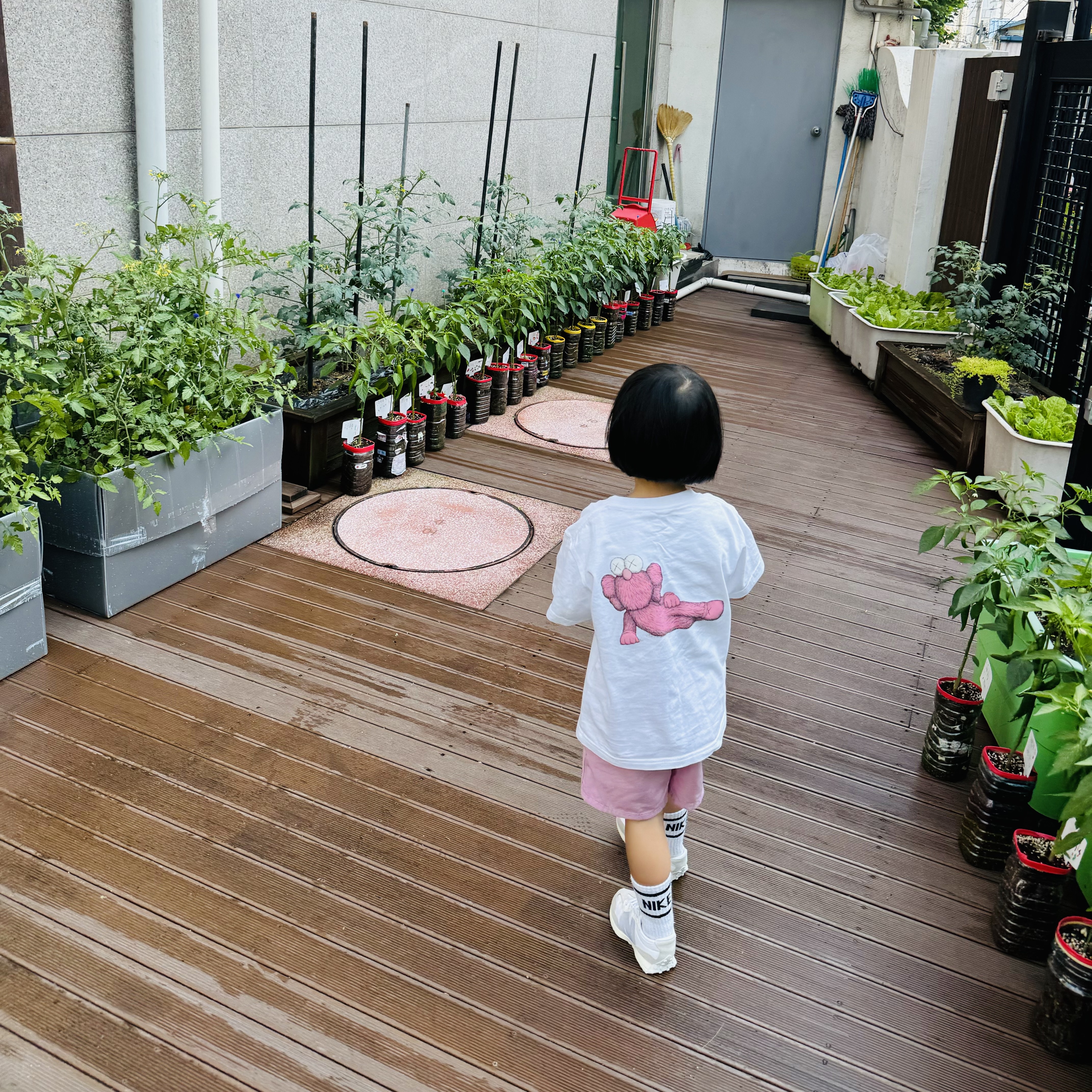 (Kids) Uniqlo UT x Kaws Short Sleeve Graphic T-Shirt White, (Kids) Patagonia Funhoggers Cotton Shorts Sunfade Pink 착용 스타일 - 4