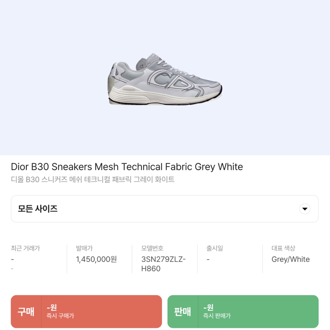 Dior B30 Sneakers Mesh Technical Fabric Grey White 착용 스타일 - 2