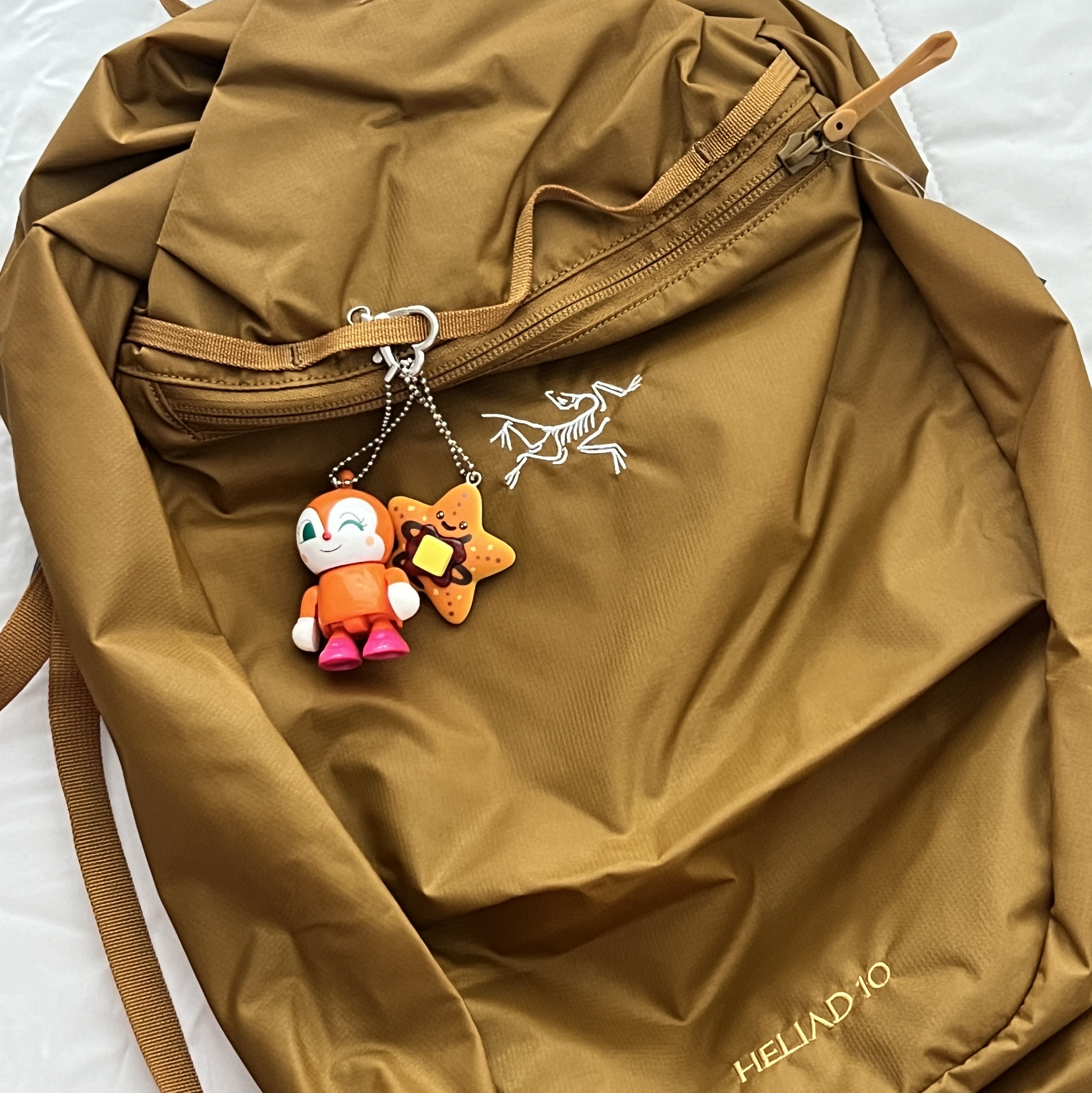 Arc'teryx Heliad 10 Backpack Yukon 착용 스타일