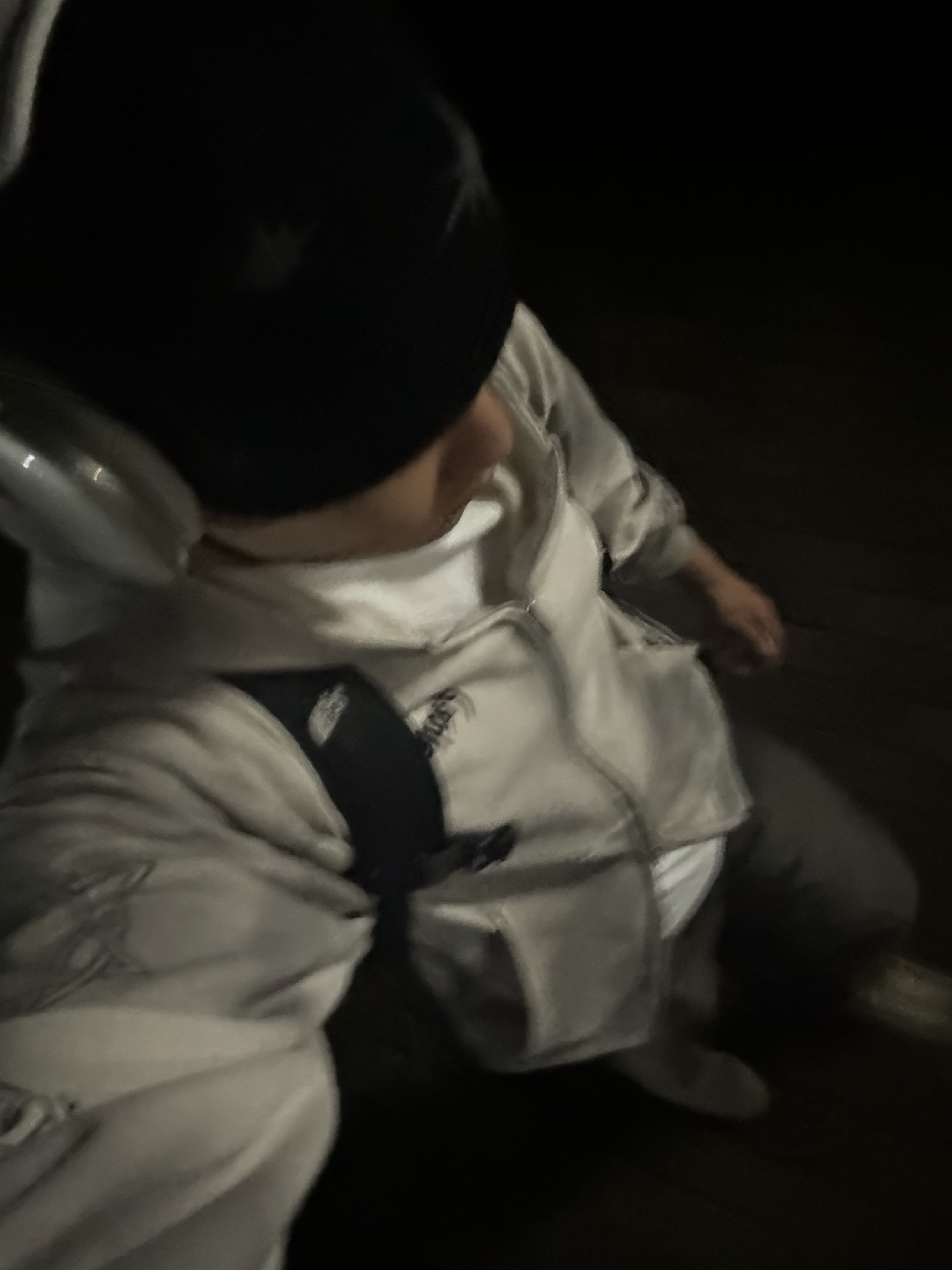 Apple AirPods Max Lightning Silver (Korean Ver.), Supreme x The North Face Expedition Backpack Black - 18FW 착용 스타일