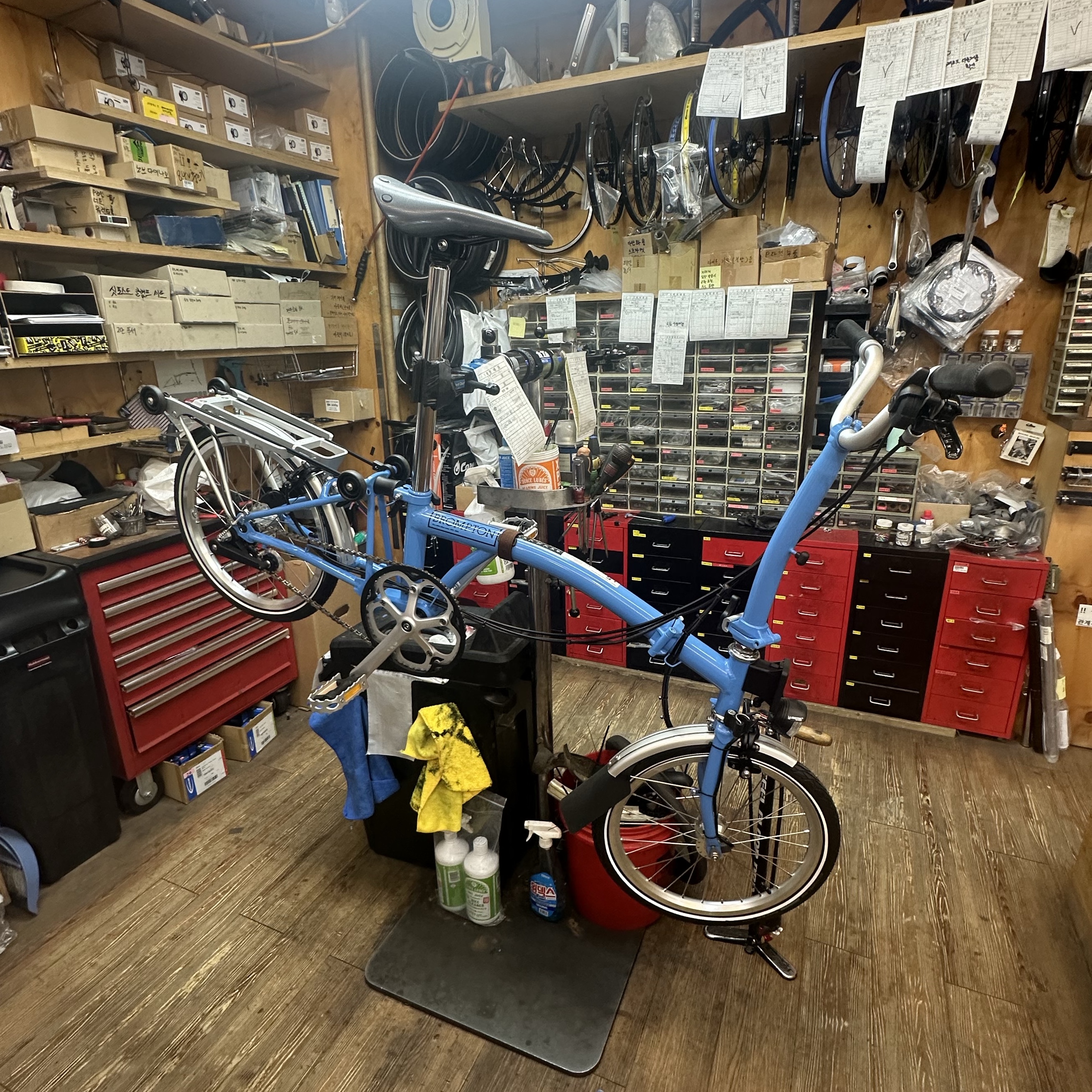 Brompton C Line Explore 6 Speed with Rack Racing Green 착용 스타일 - 3