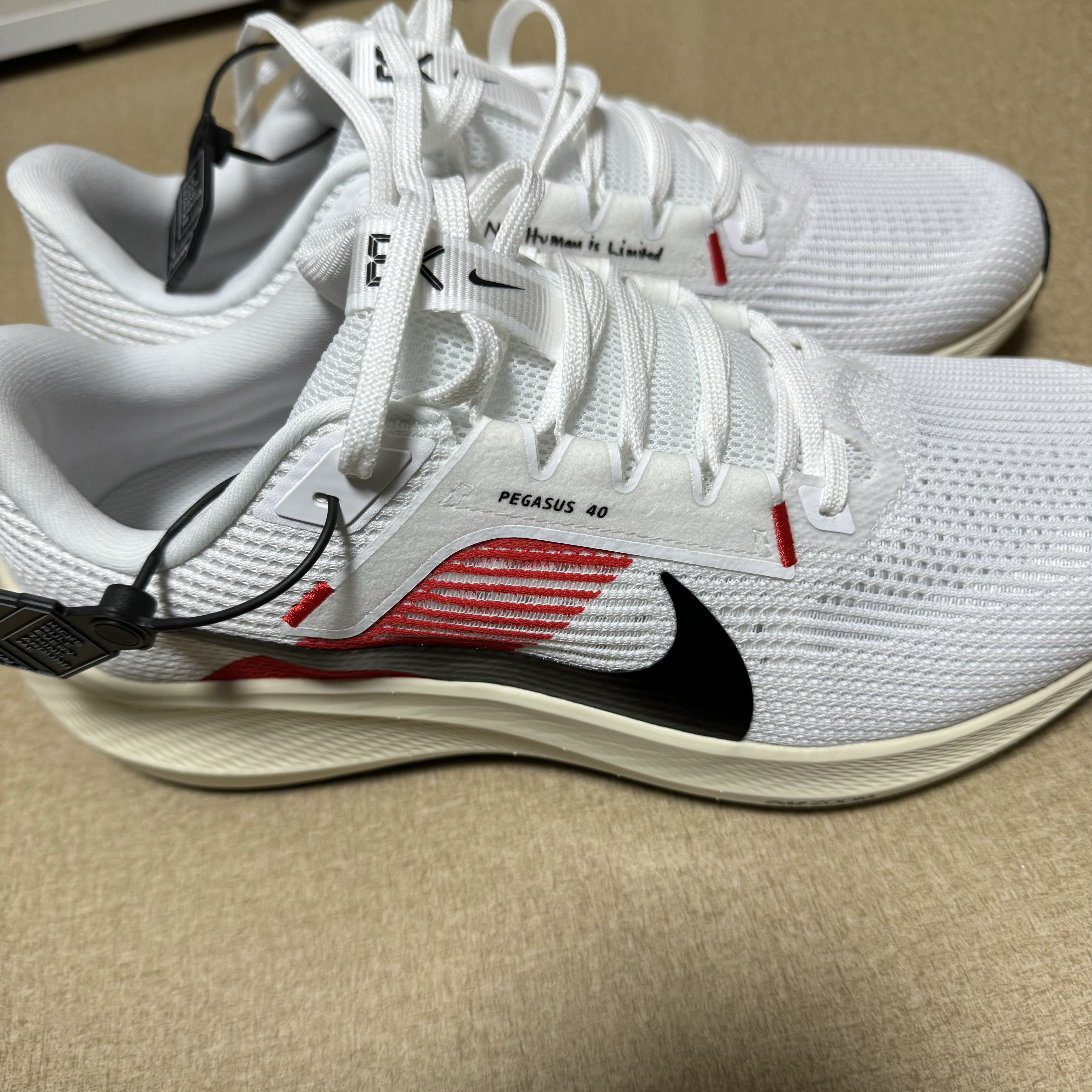 Nike Air Zoom Pegasus 40 Eliud Kipchoge 착용 스타일