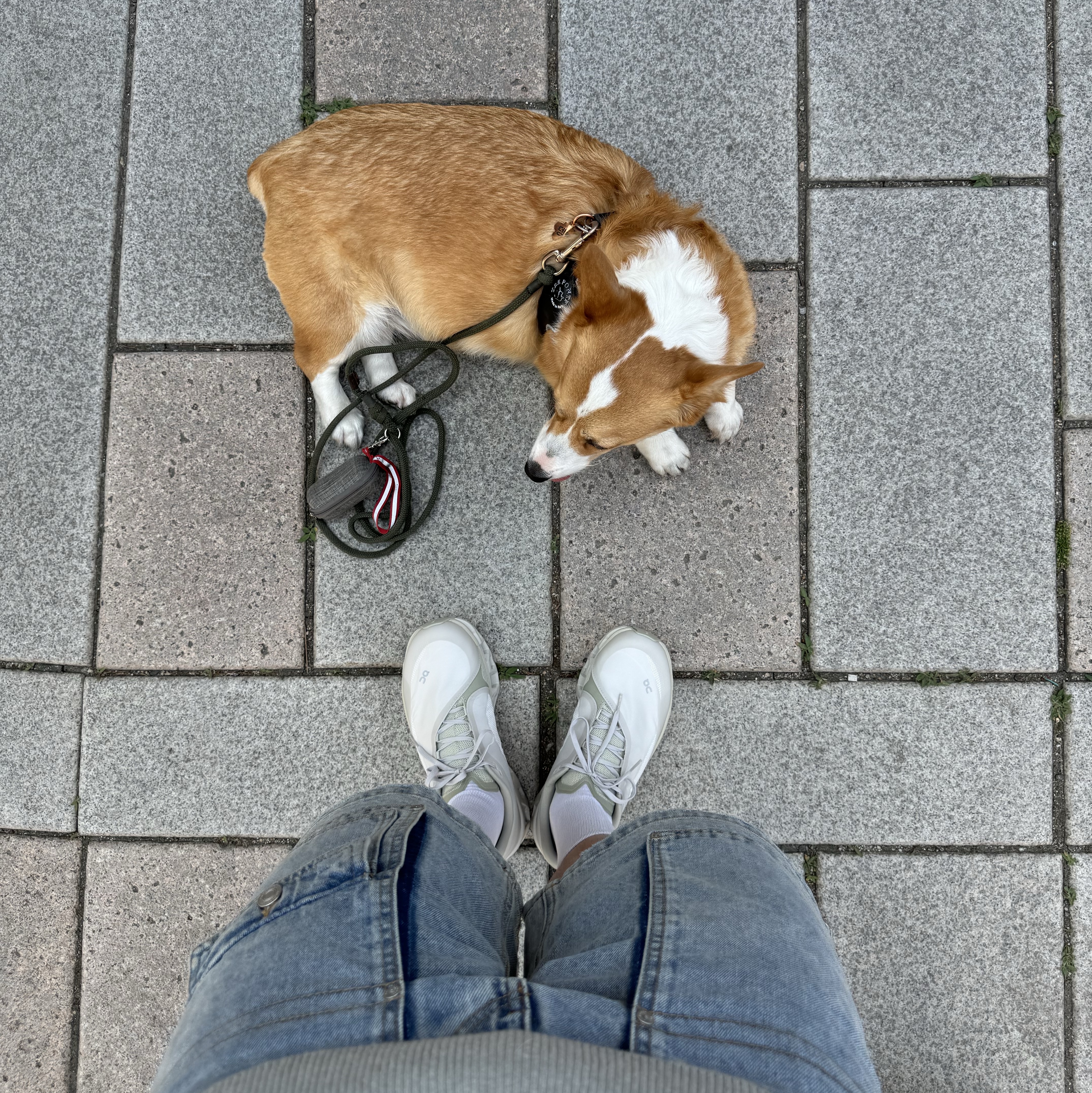 On Running x Post Archive Faction (Paf) Cloudmonster 2 Moondust Chalk, Salomon x MM6 Maison Margiela XT-15 Black 착용 스타일 - 4