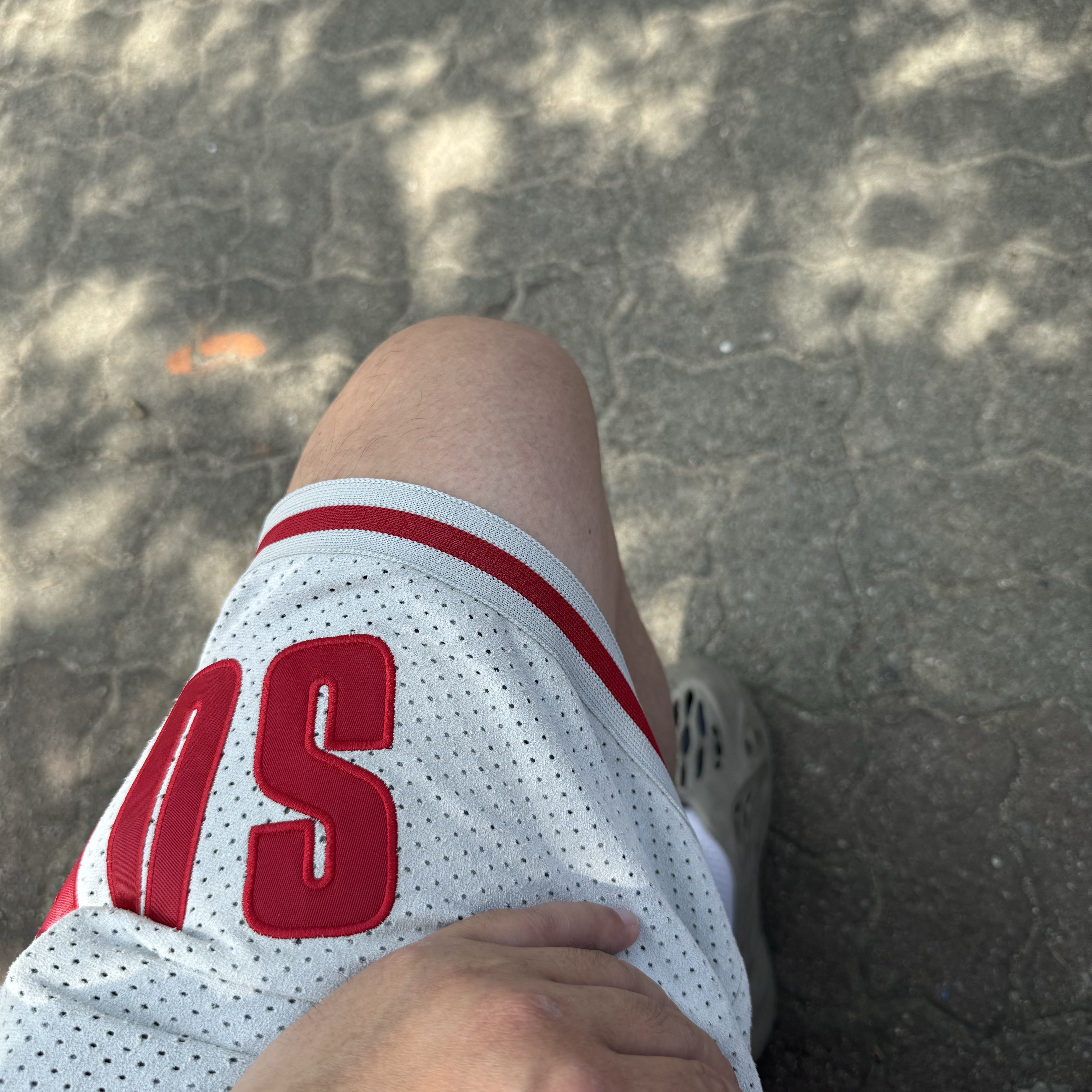 Supreme Ultrasuede Mesh Short Grey - 24SS 착용 스타일