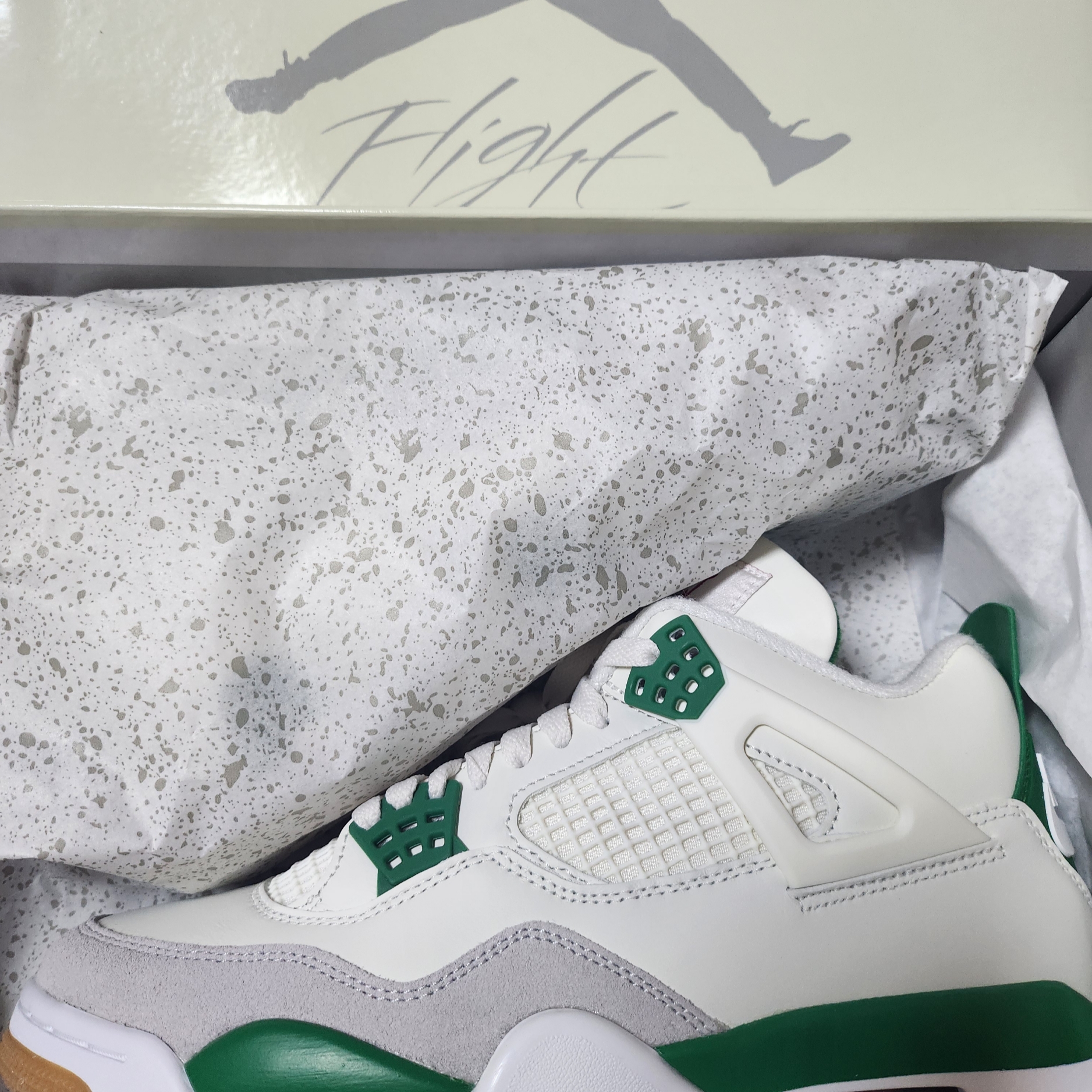 Jordan 4 x Nike SB Retro SP Pine Green 착용 스타일