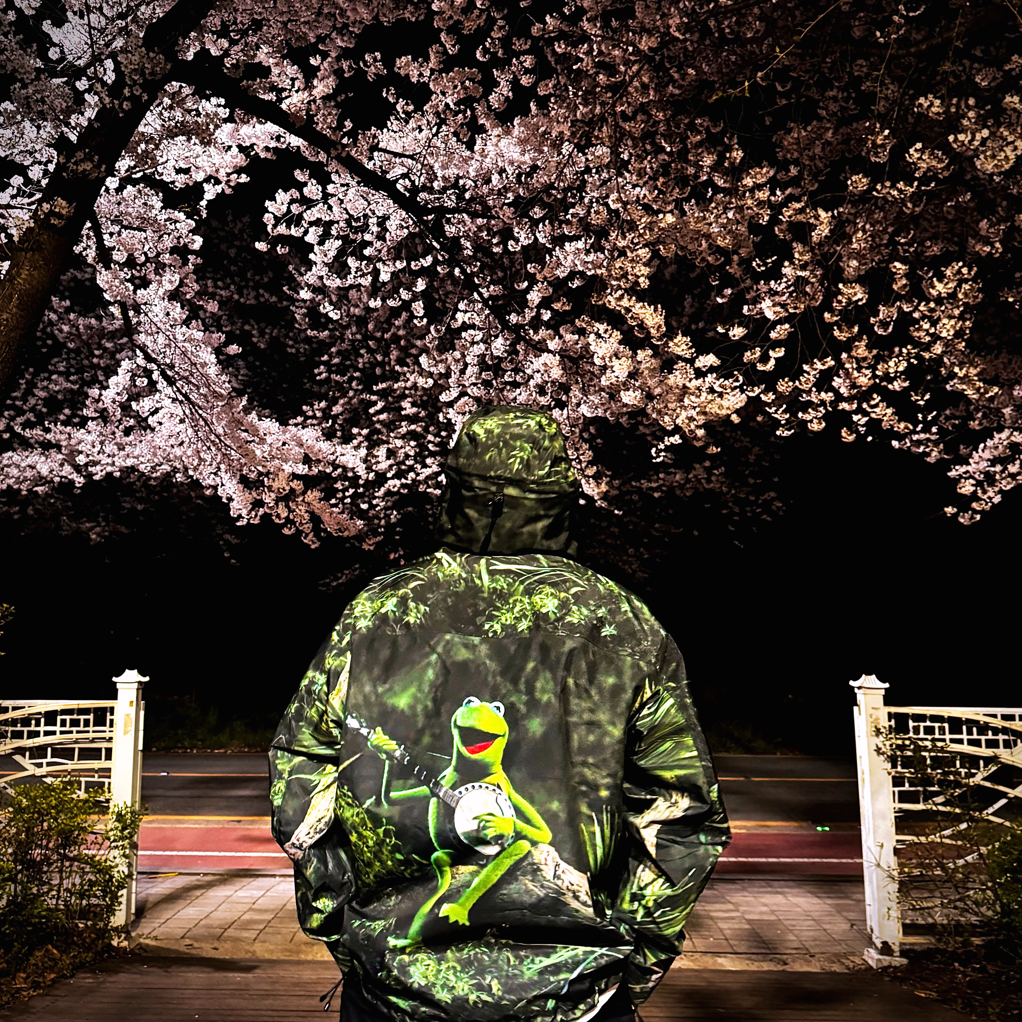 Supreme Gore-Tex Taped Seam Shell Jacket Kermit The Frog - 24SS, Supreme Snake S/S Shirt White - 24SS 착용 스타일 - 1