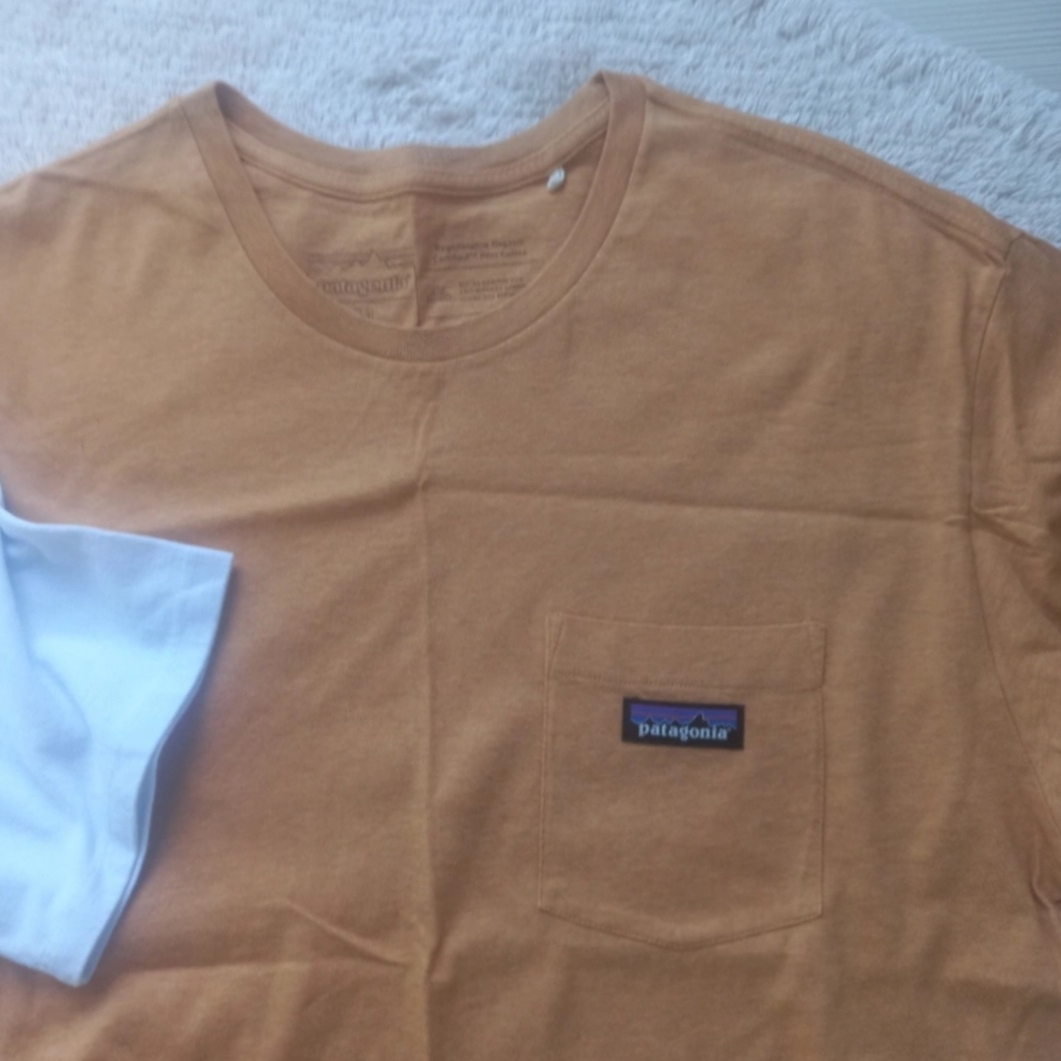 Patagonia Line Logo Ridge Pocket Responsibili-Tee White, Patagonia Hydropeak Hybrid Walk Shorts 18 Inch Weathered Stone 착용 스타일 - 3