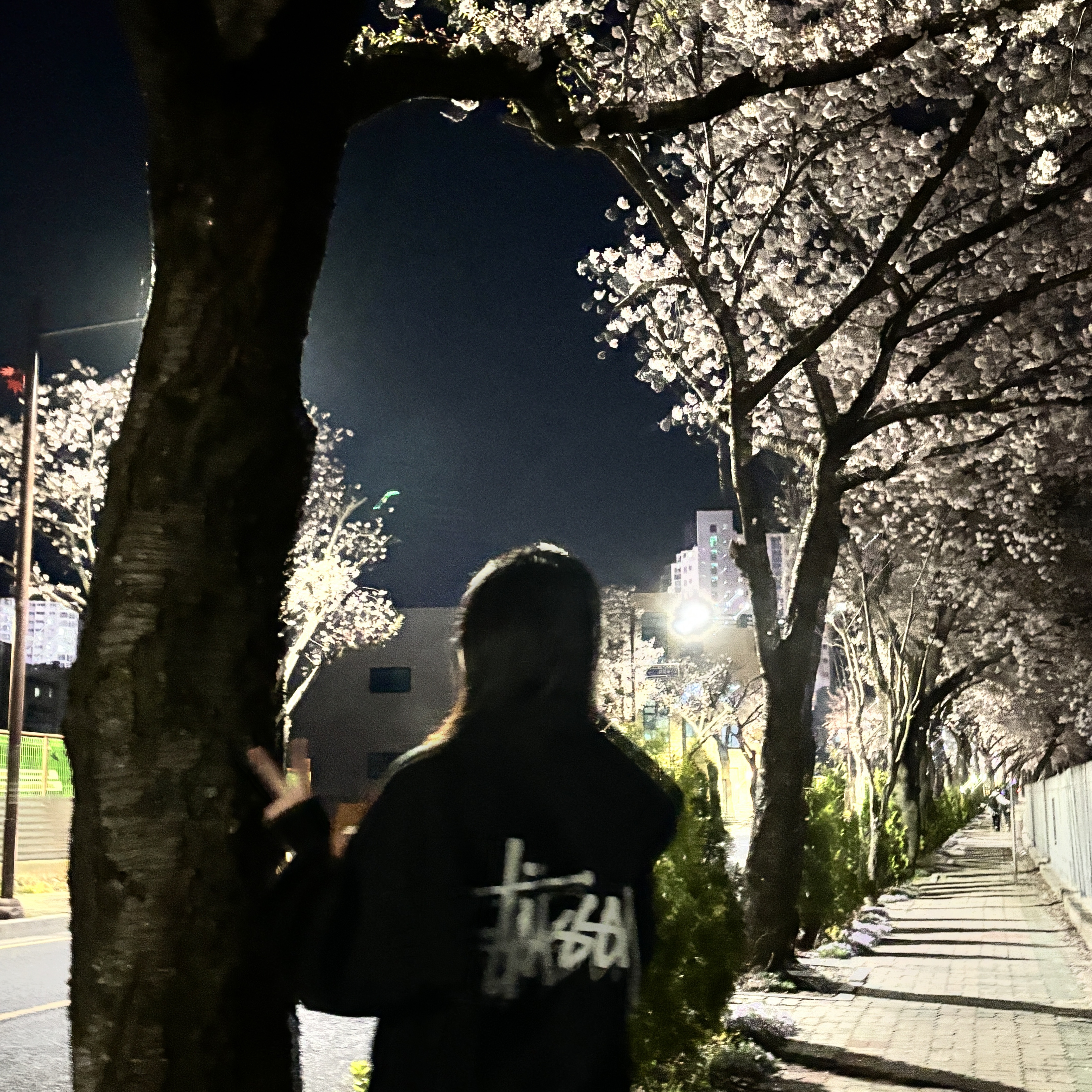 Stussy Basic Zip Hoodie Black 착용 스타일